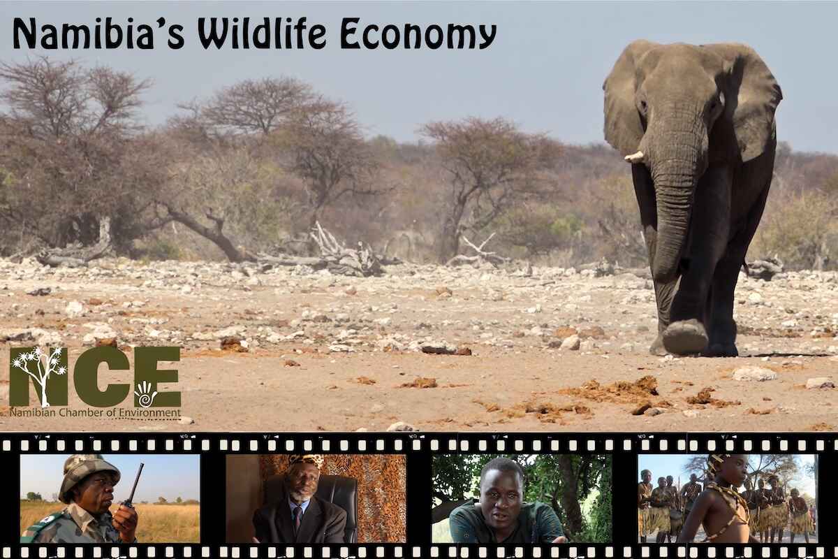 A selection of stills of people and wildlife featured in the wildlife economy film series.