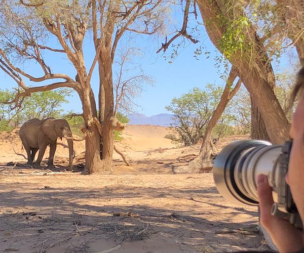 A tourist points the lens of a large camera towards a nearby elephant.