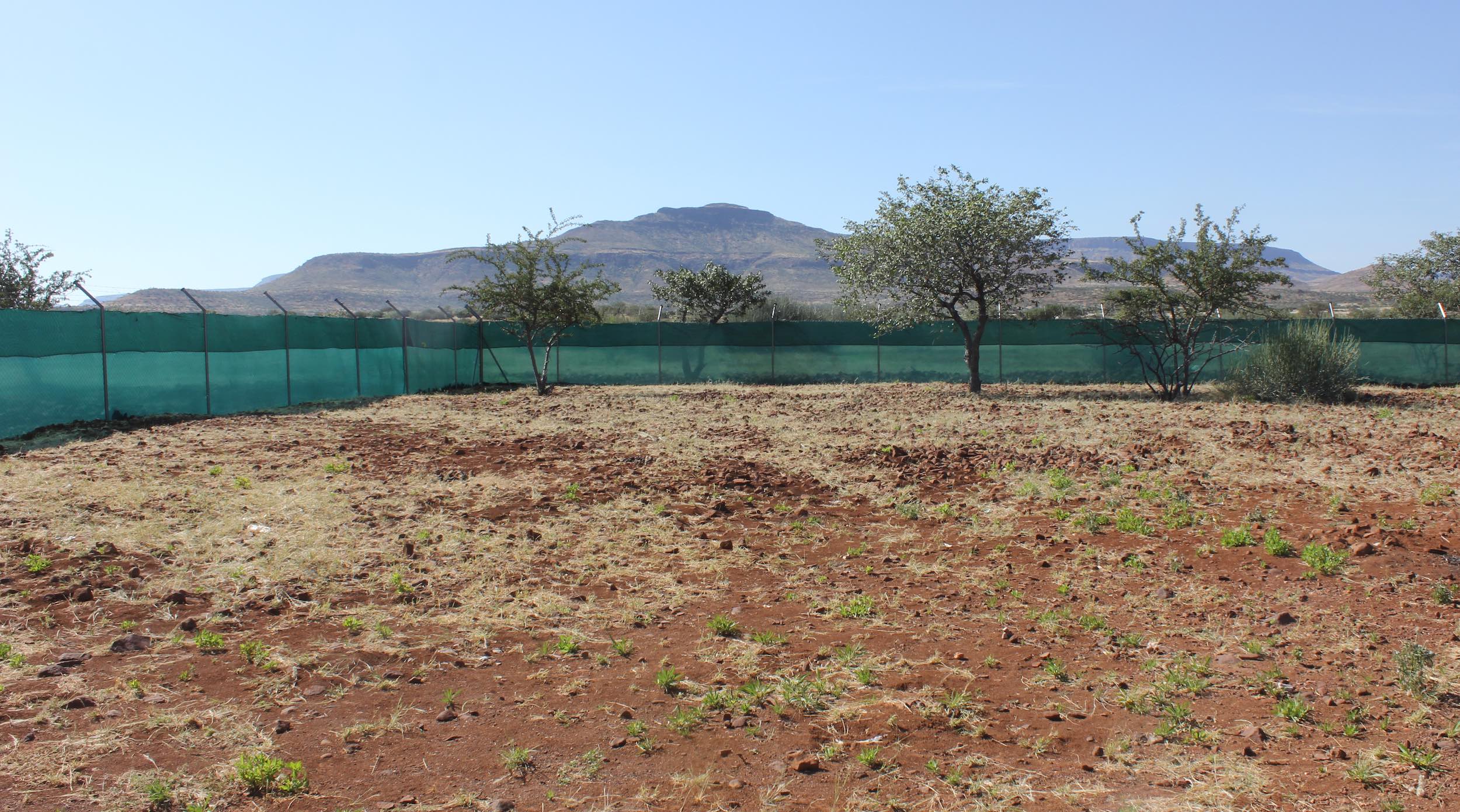 A large kraal fenced and shaded against predators.