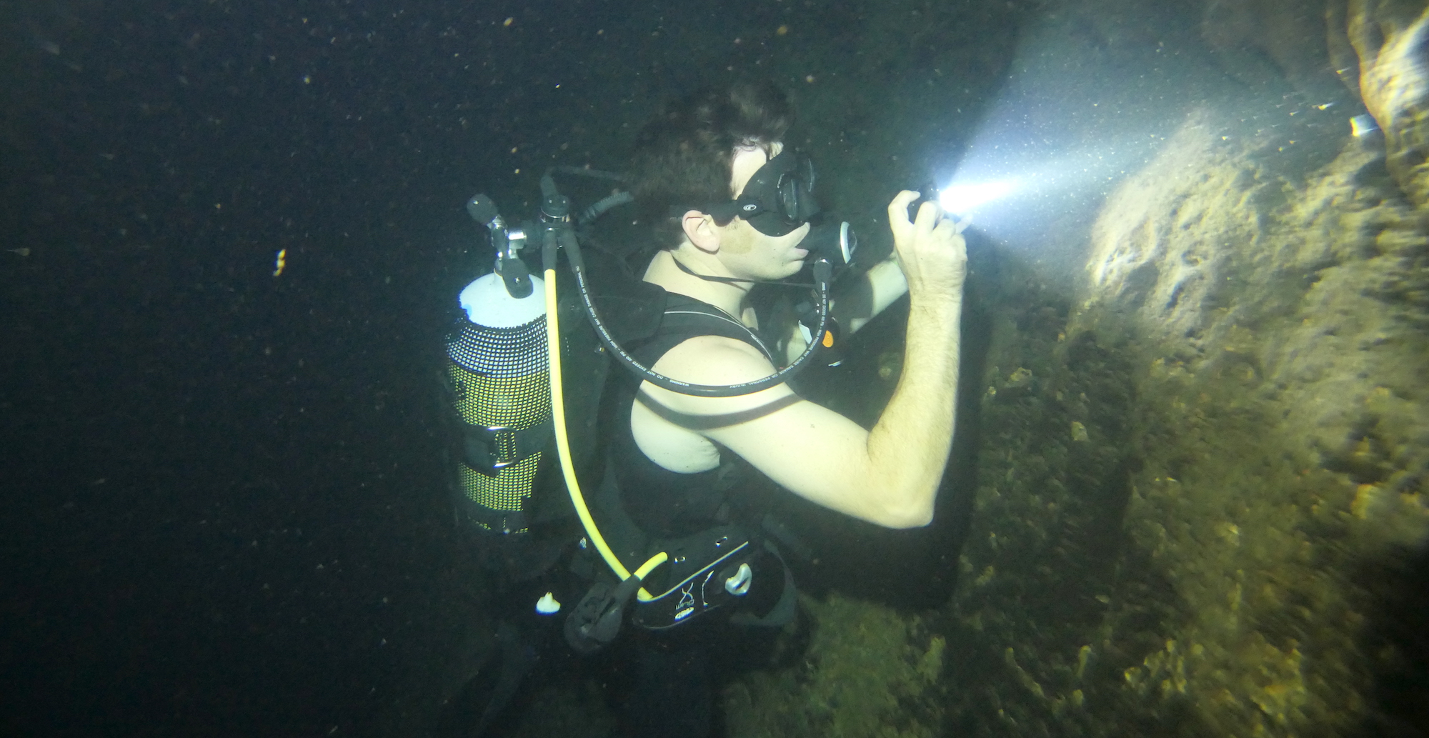 A research diver counts cave catfish