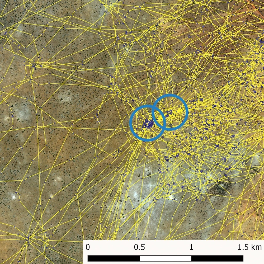 Kudu satellite track