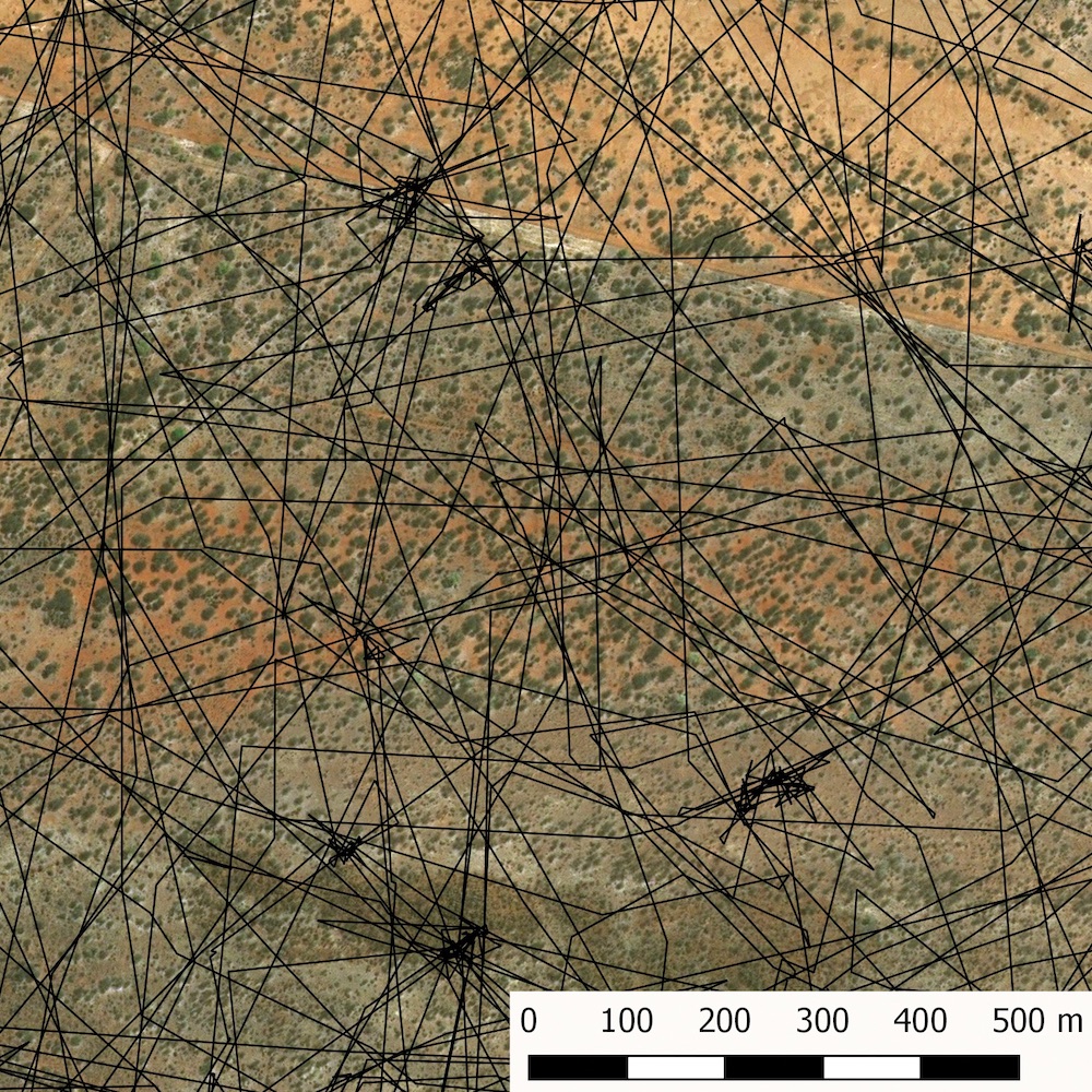 Leopard kill sites