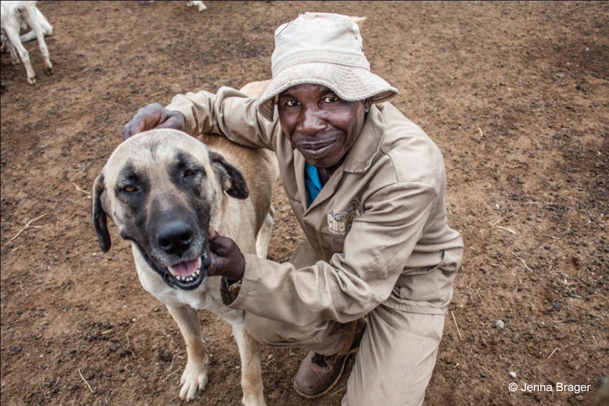Armas the herder smiles while hugging a guarding dog