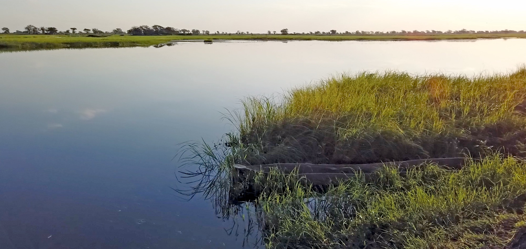 A canoe rests on the edge of a freshwater lake in Namibia