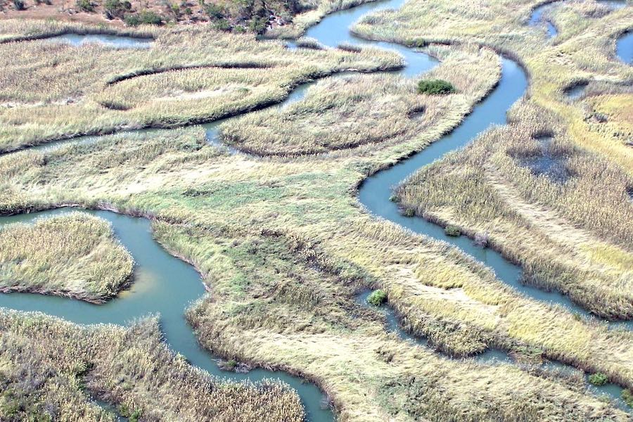 Overhead view of a complex river system running through grasslands.