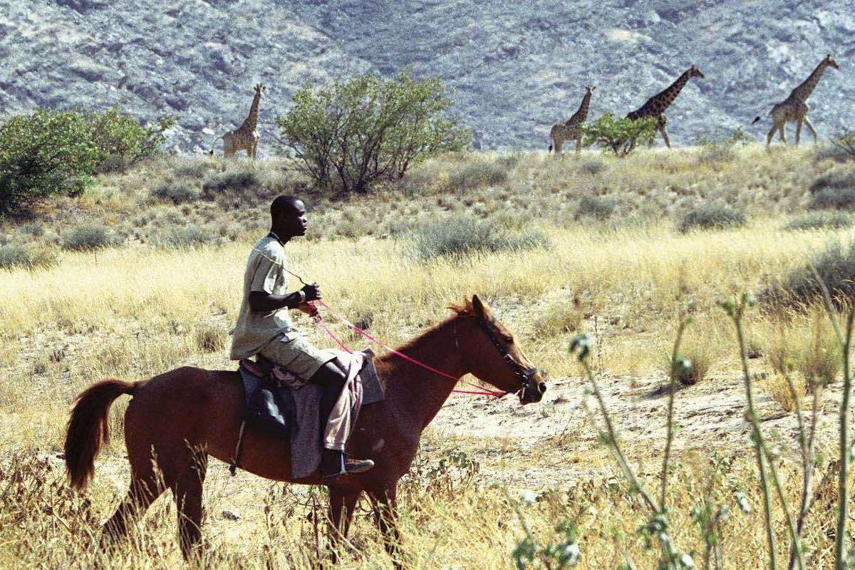 A conservancy game guard patrols on horseback.