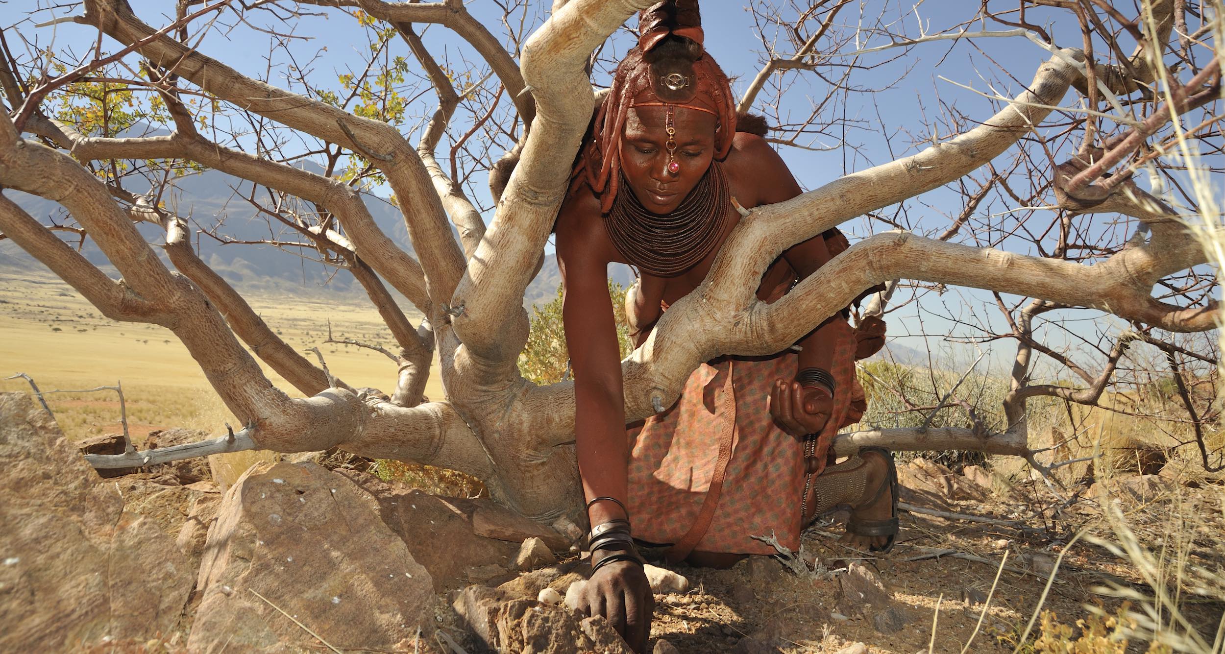 A Himba lady works in the bush.