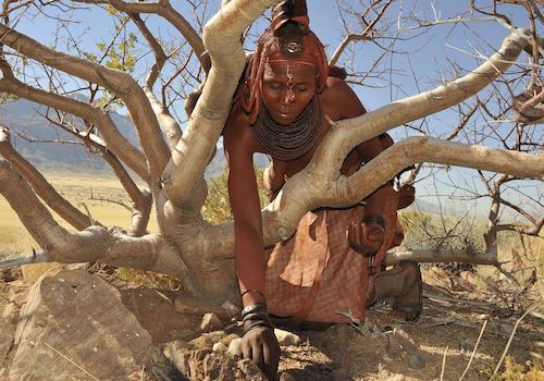 A Himba lady working in the bush.