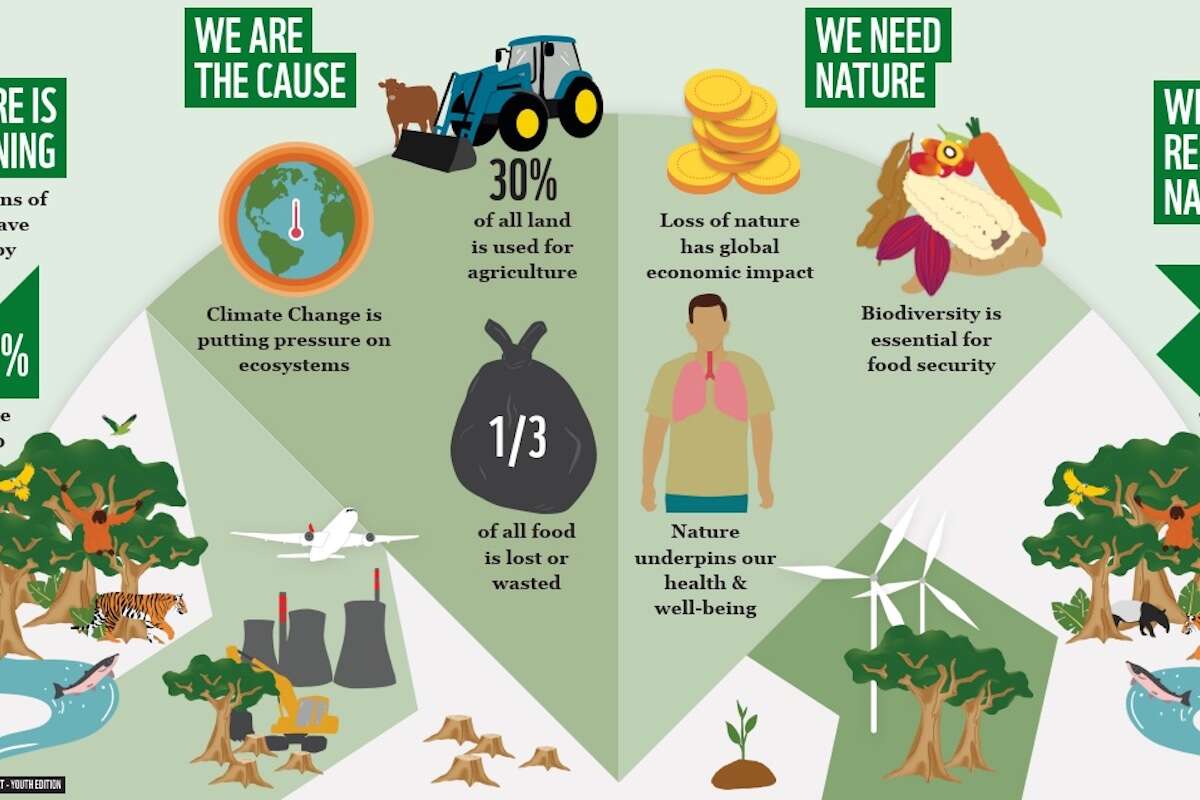 An infographic showing human impact on nature, and its importance to us.