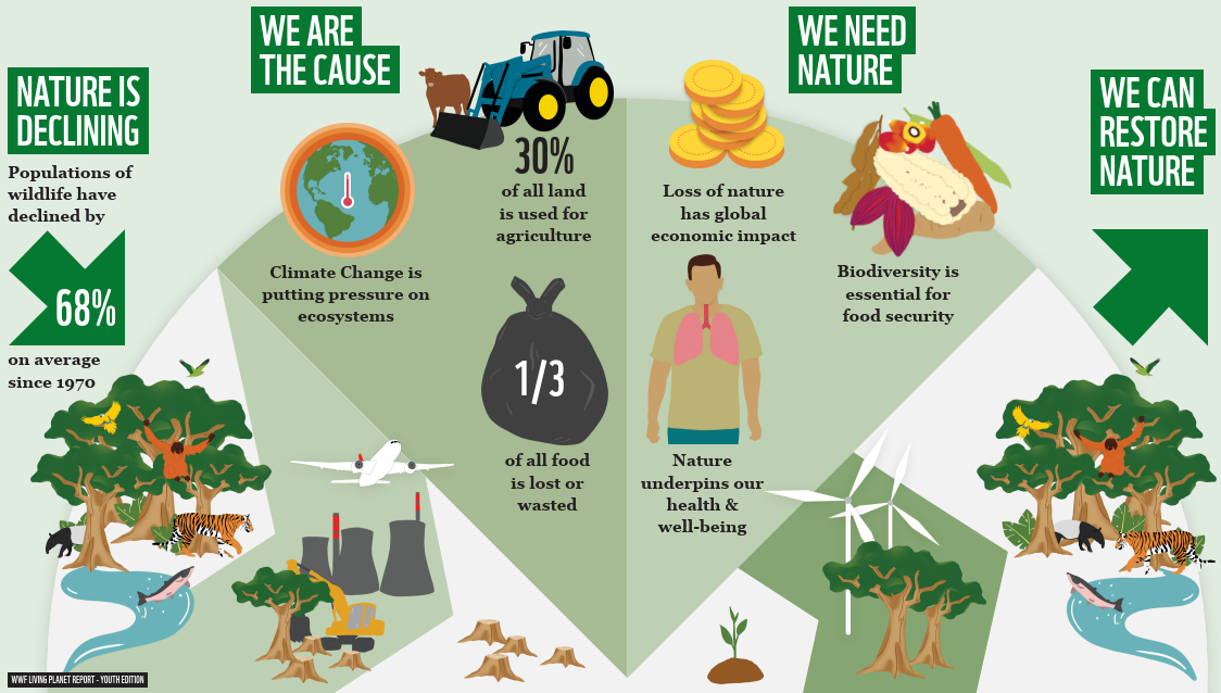 An infographic showing human impact on nature, and its importance to us. 