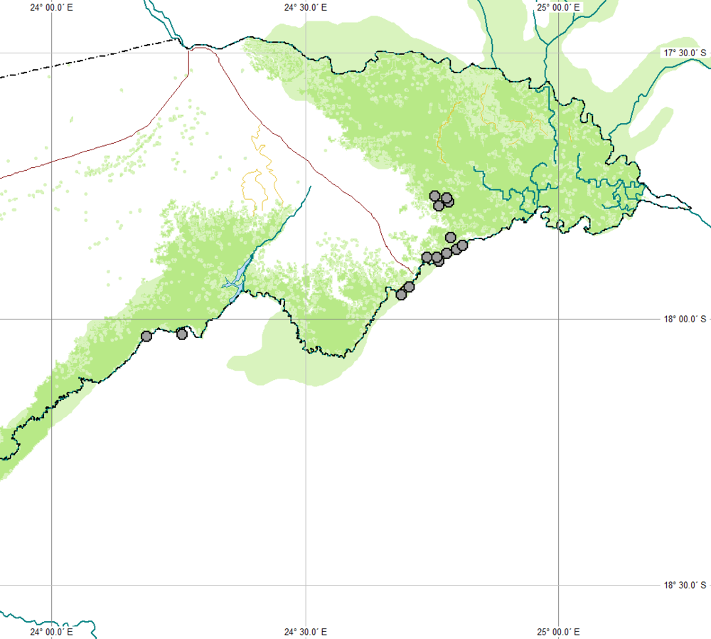 A distribution map of spotted hyaena sightings showing that while they occur all over sub-saharan Africa, most sightings are recorded in Namibia, Botswana and Zimbabwe.