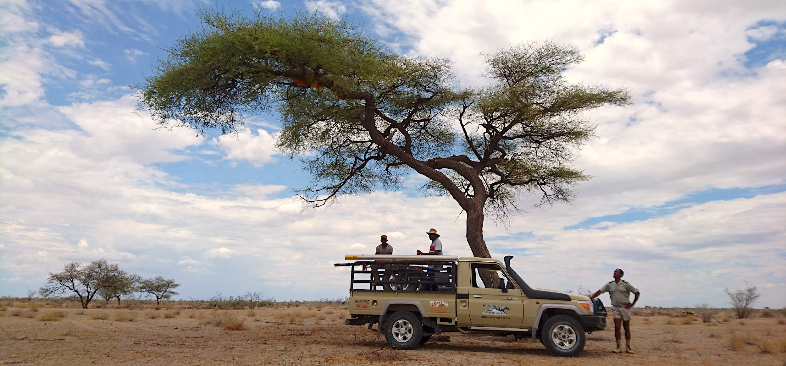 Three men and a Toyota Landcruiser parked under a large tree in an otherwise desertlike environment.