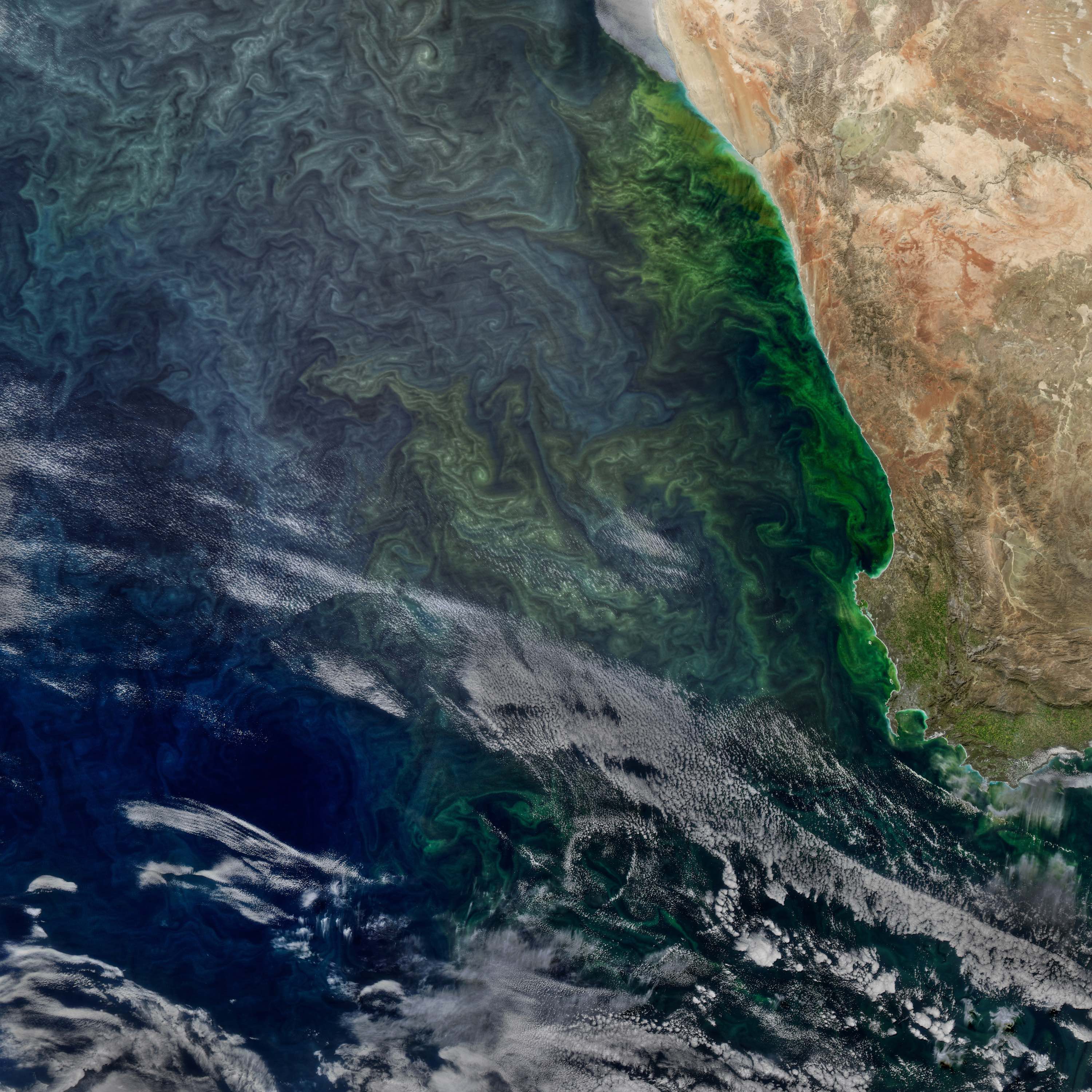 A colourised satellite image.