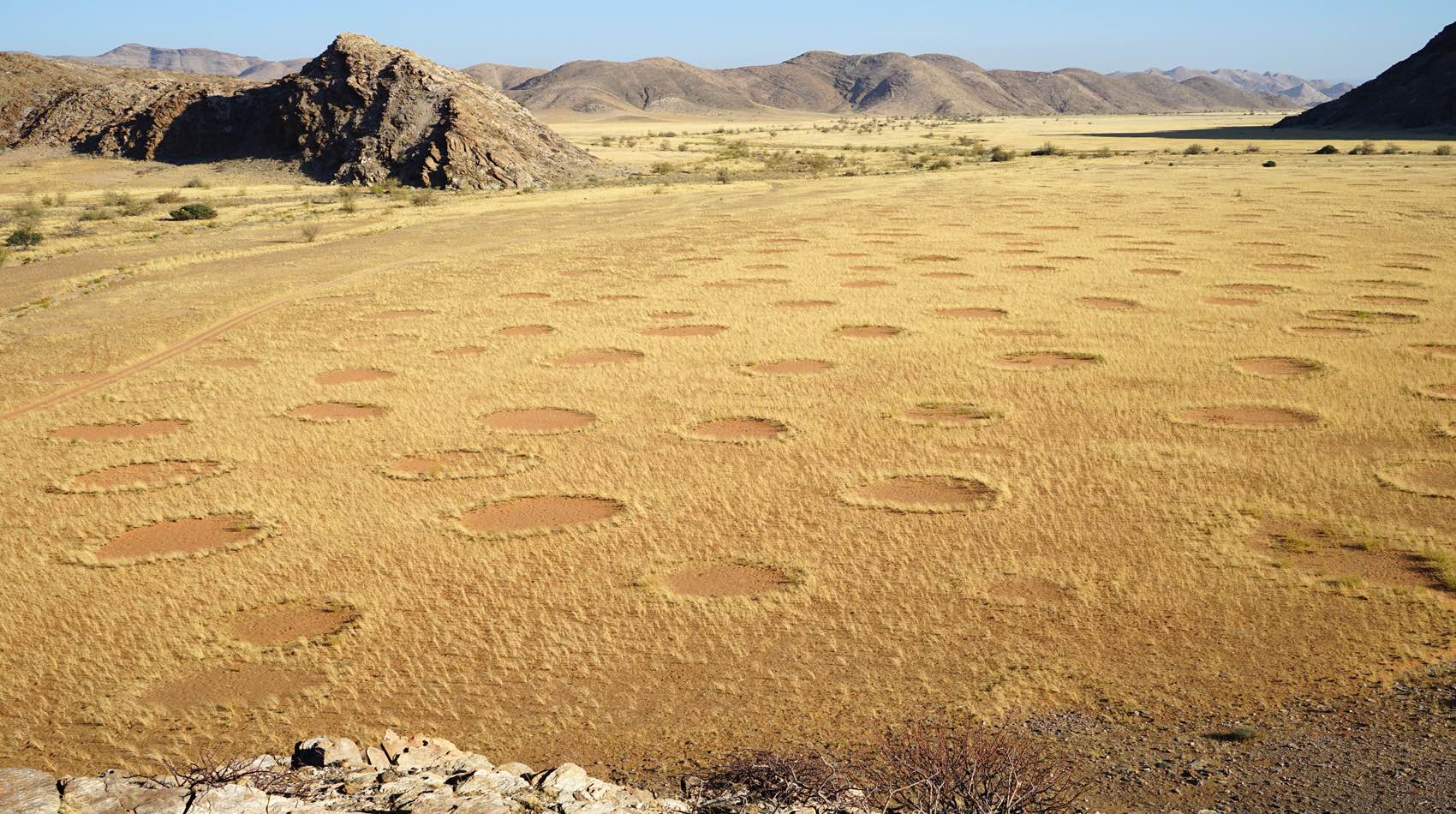 An aerial view showing a vast plain dotted with fairy circles.