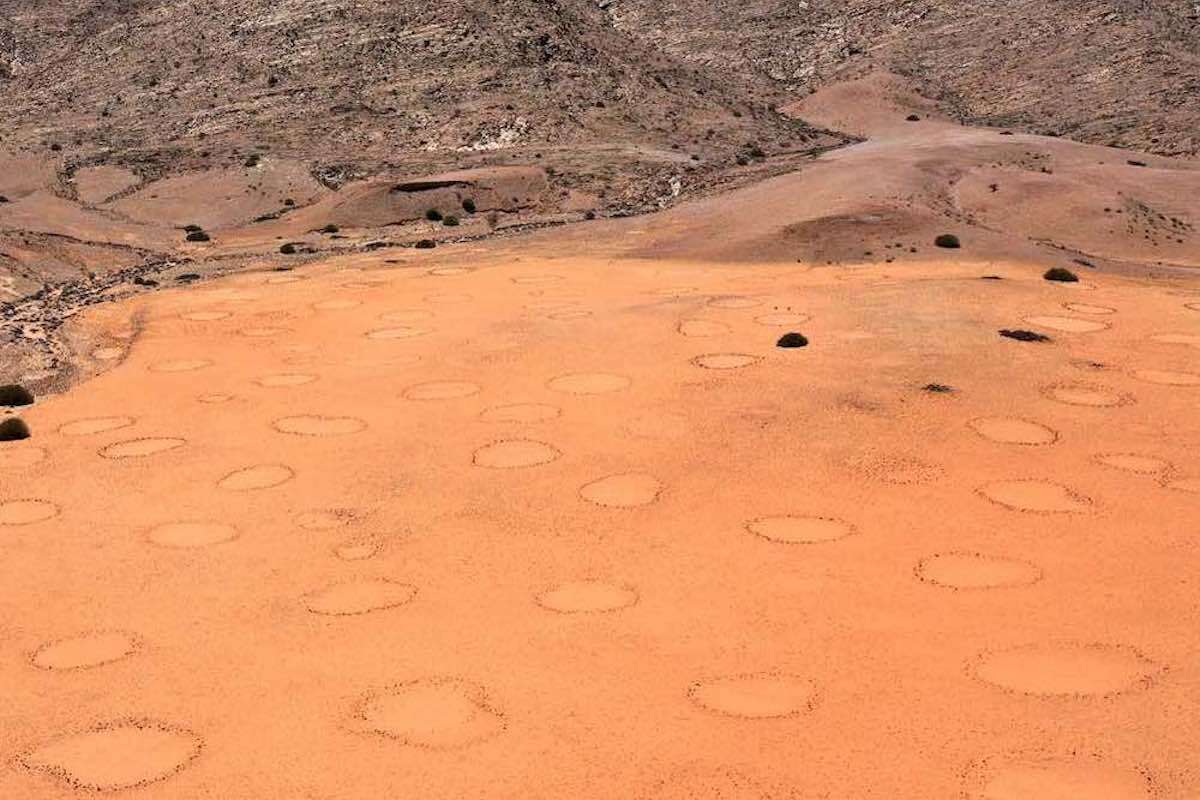 Aerial view of fairy circles.