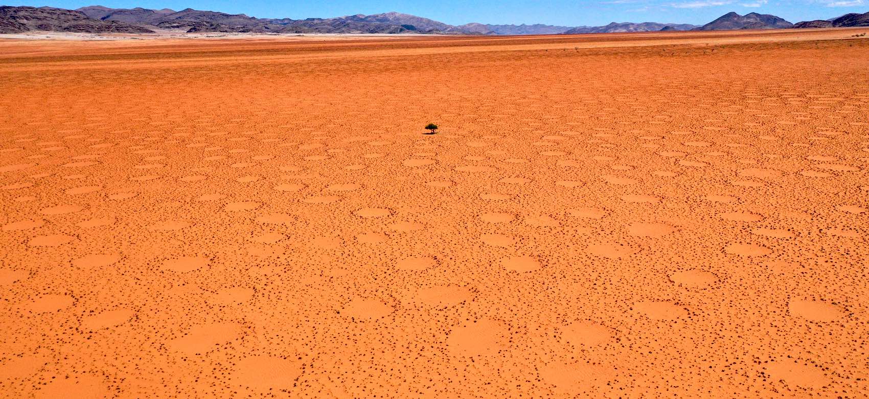 Fairy circles as far as the eye can see, stretching over a vast sandy plain.