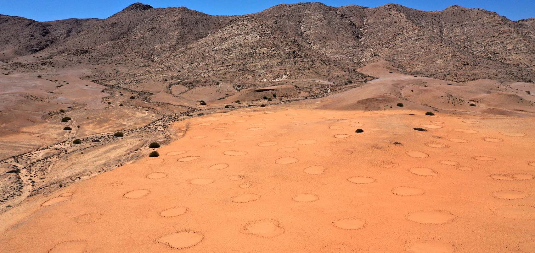 A drone's eye view of fairy circles in the foreground, and a range of mountains in the background.