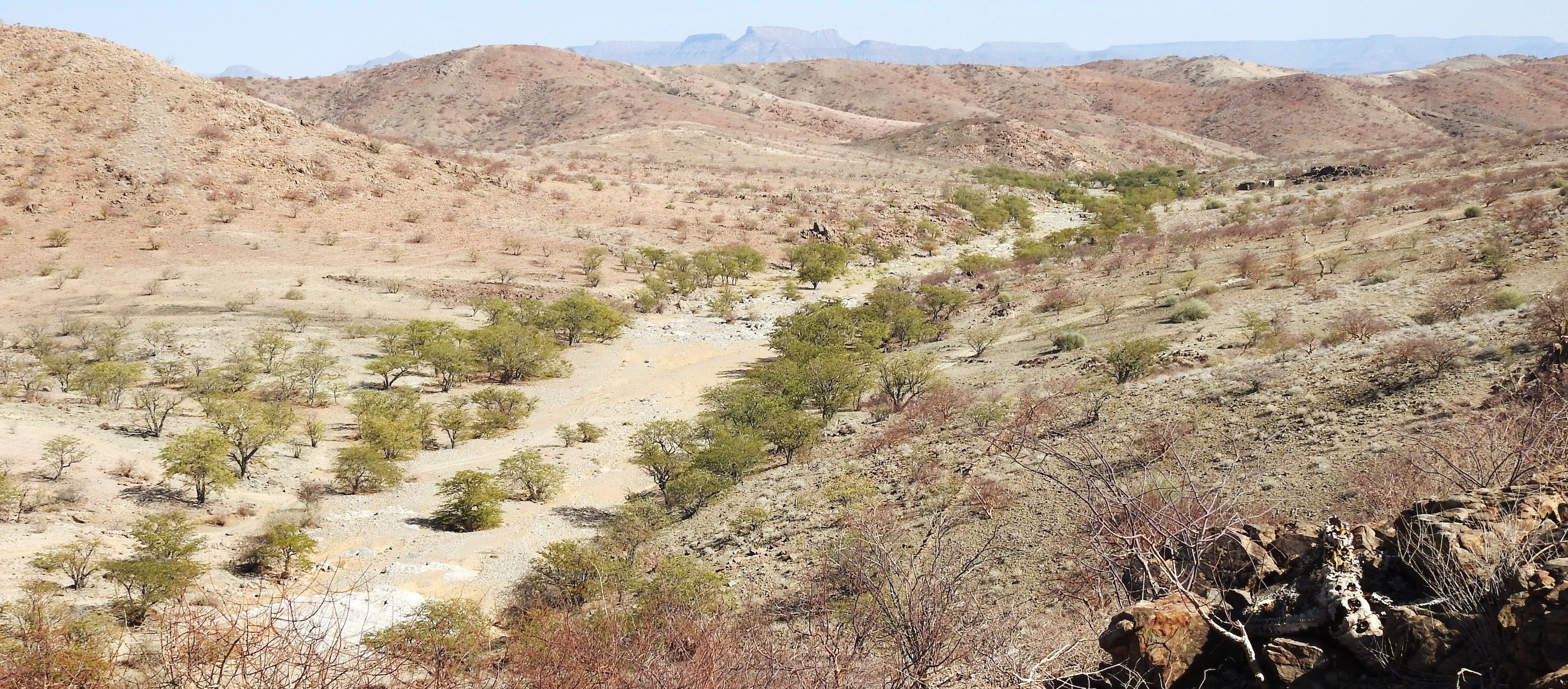 The rocky desert landscape of the Kunene region.