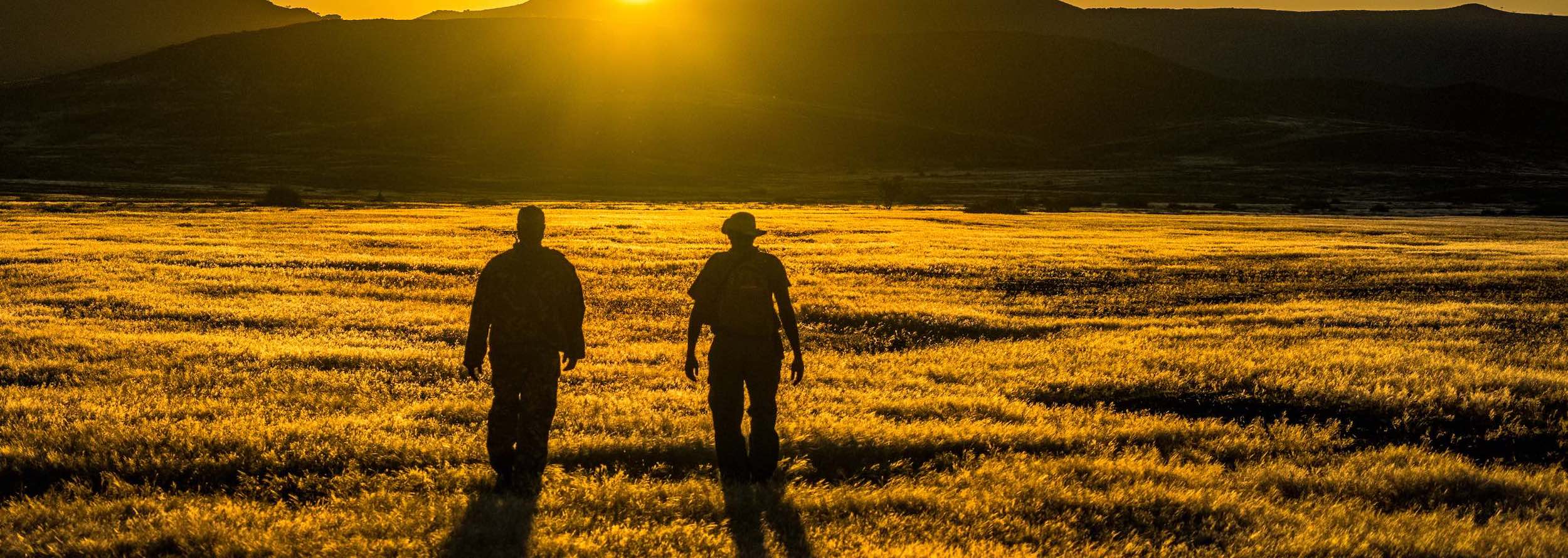 Two game rangers walk across a grassy plain. Ahead the sun is just visible above a mountain range.