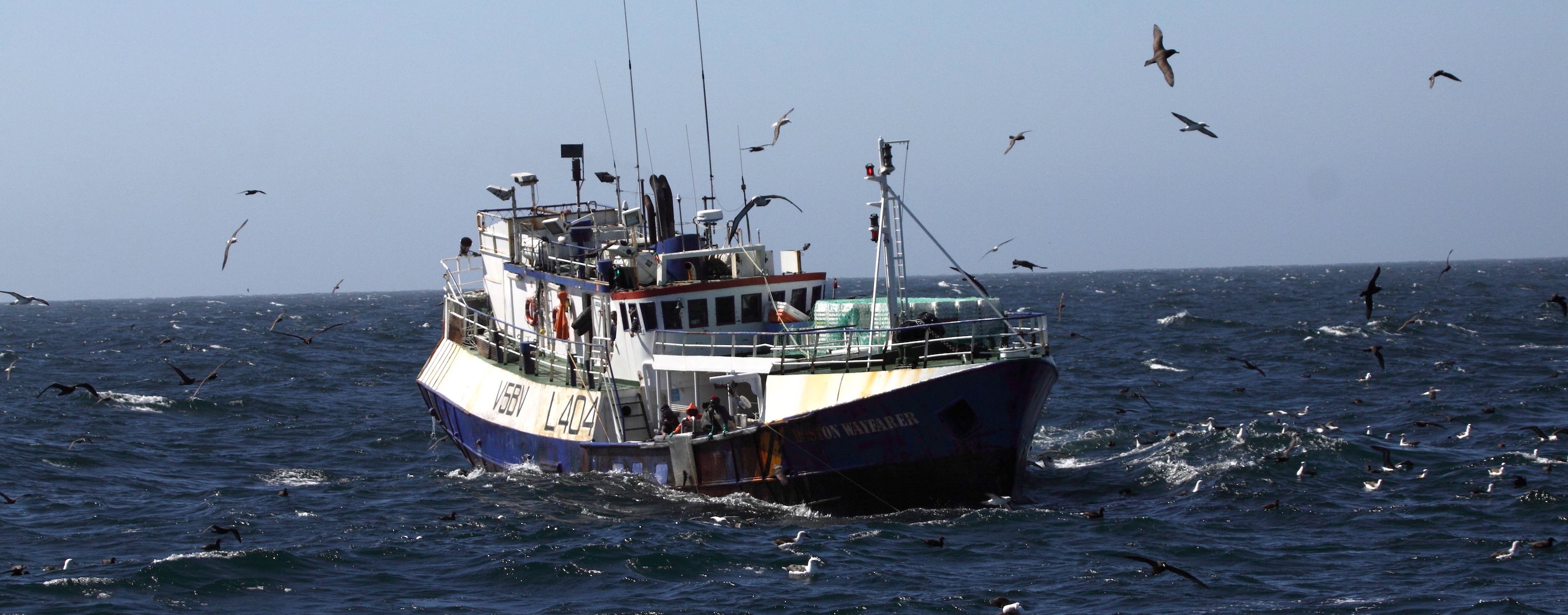 A long line fishing boat at see and surounded by sea birds.