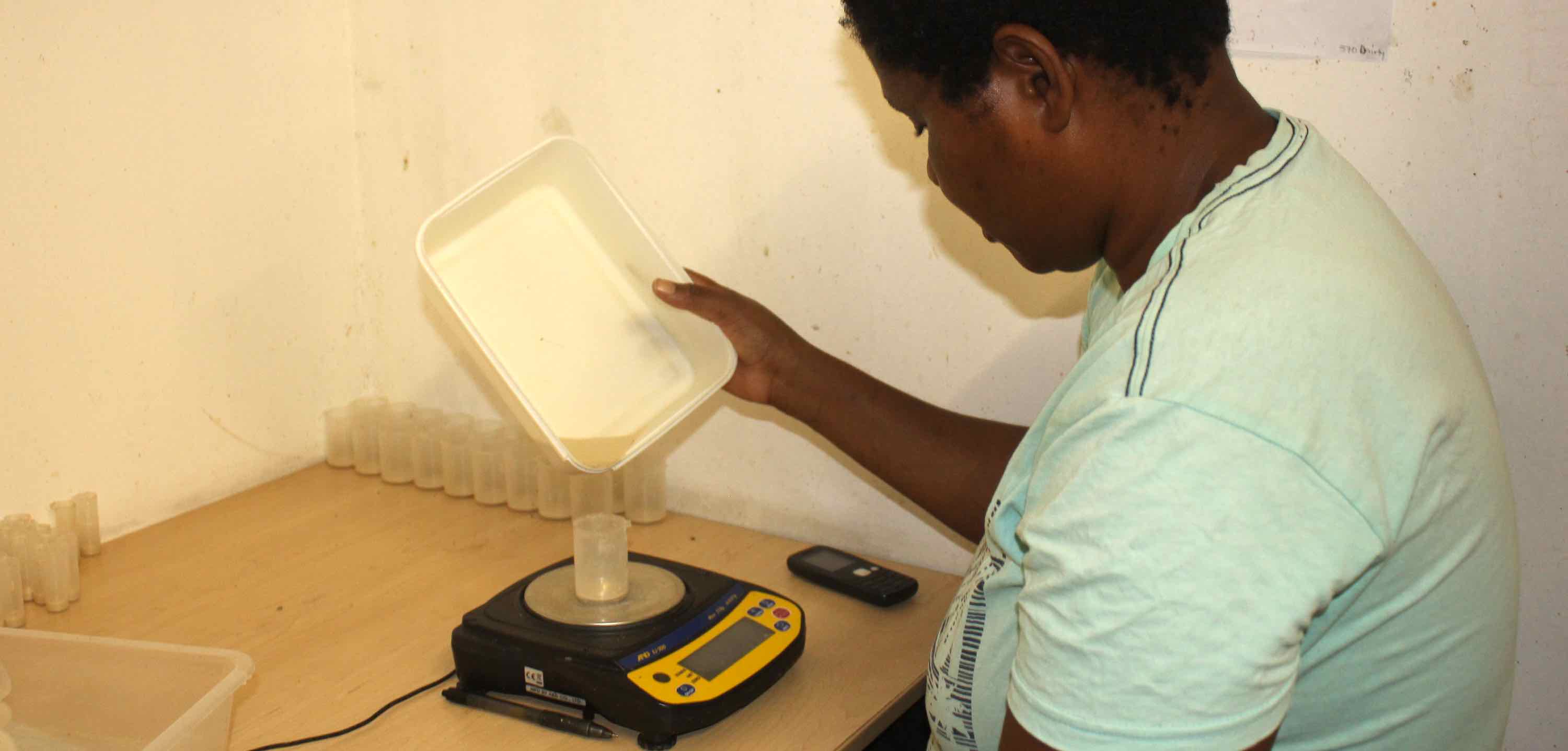 A woman carefully pours some larvae into a container on a digital scale.