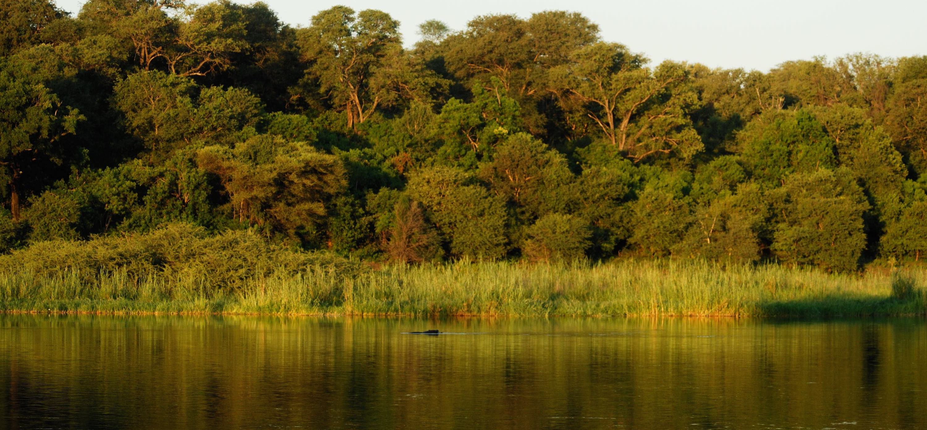 A wide river runs across the foreground, with dense woodland in the background.