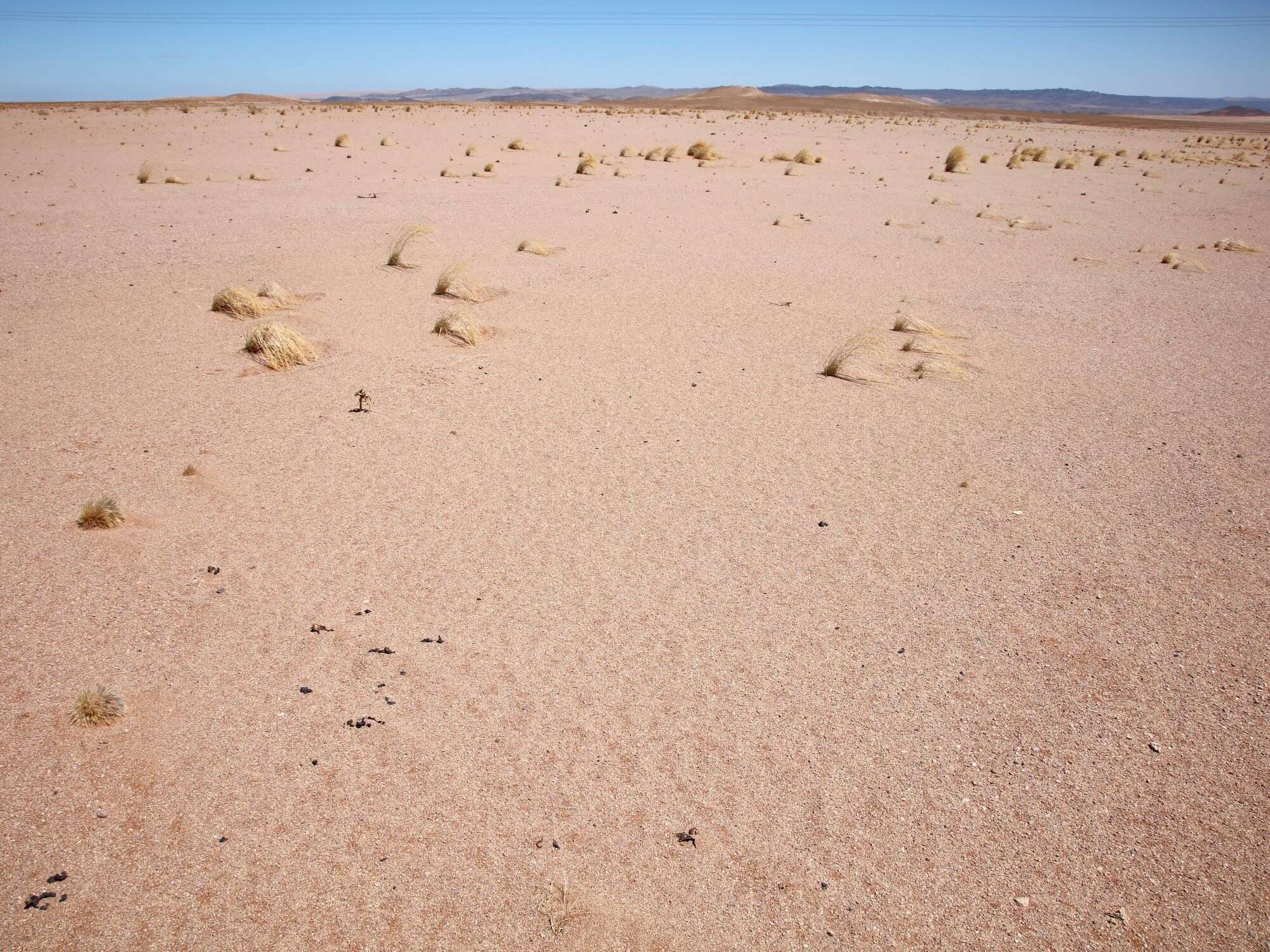 A few tufts of grass show above the surface of an otherwise desolate sea of sand.