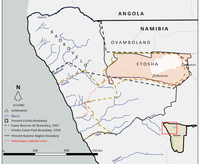 The Lions Of Etosha: A Brief History