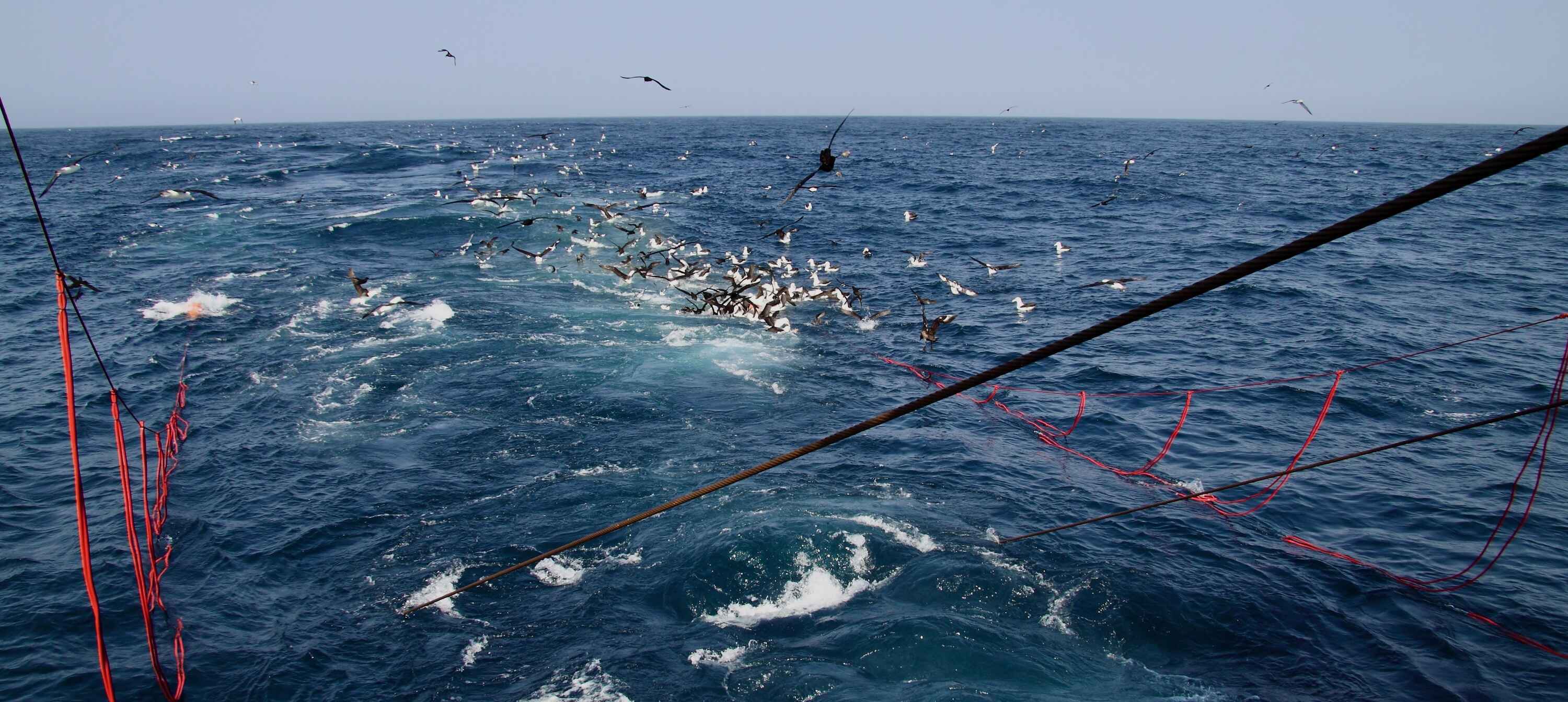View from the back of a fishing vessel.