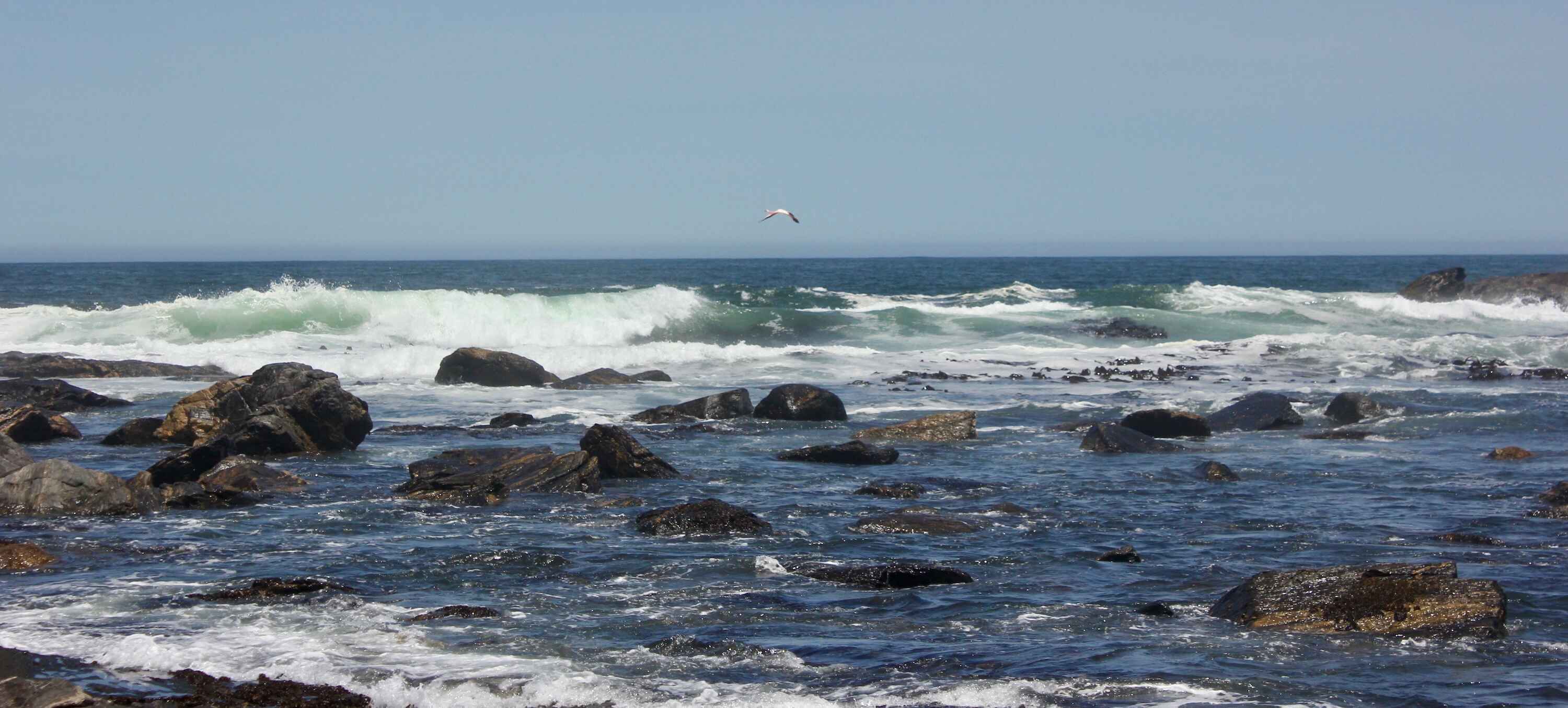 The rocky coastline of Namibia.