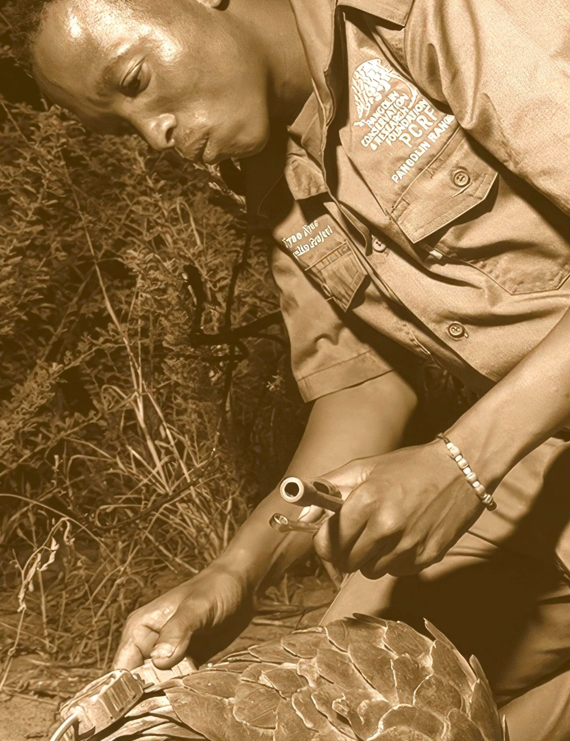 GOSCAR prize winner ‡Oma Sao with one of the pangolins he helps protect.