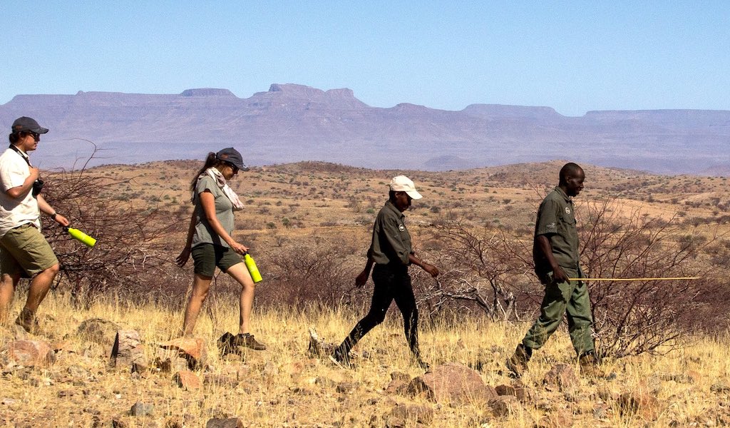 Tourists escorted by guides on a walking safari through //Huab Conservancy.