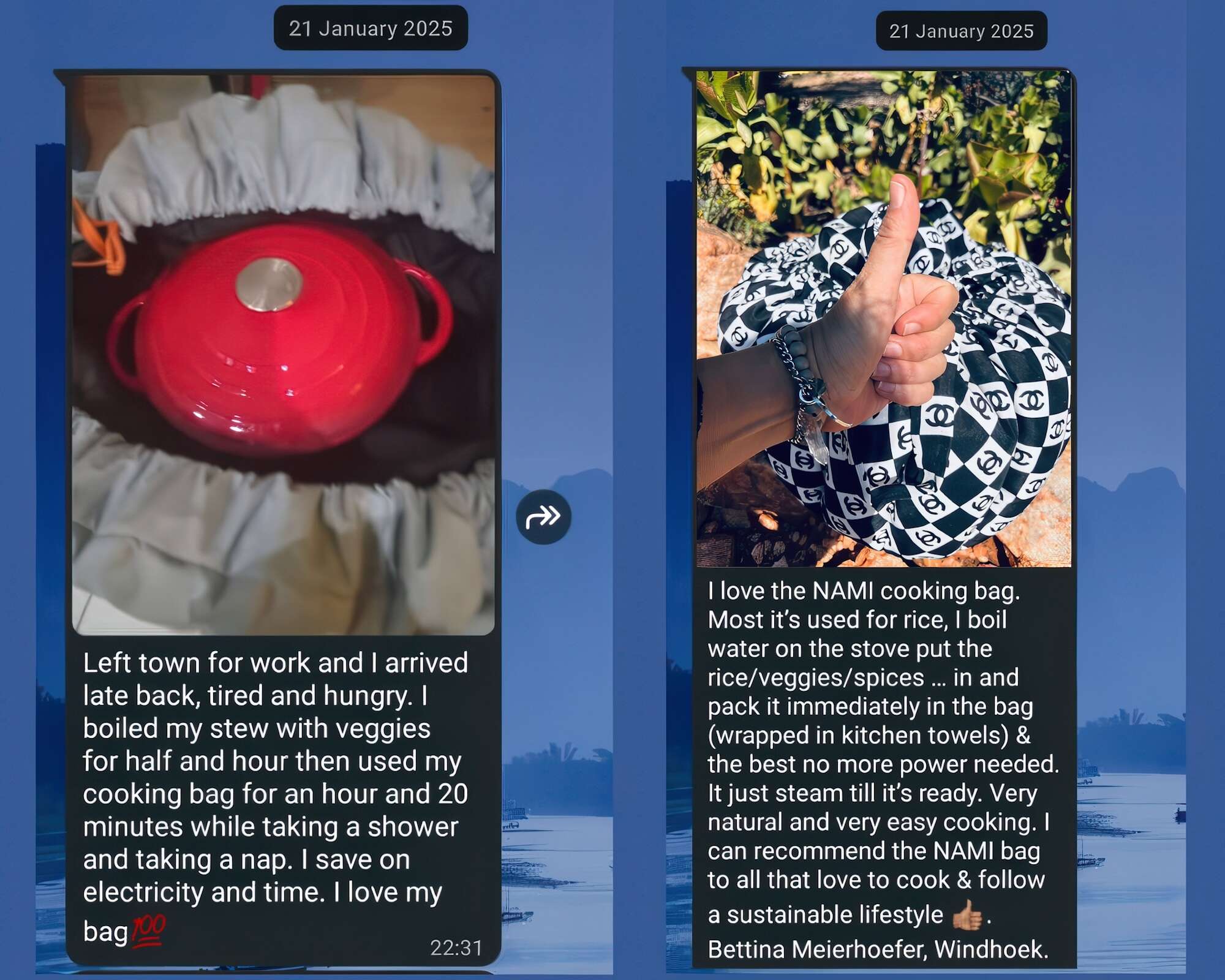 Screencapture of online reviews by Namibag customers.