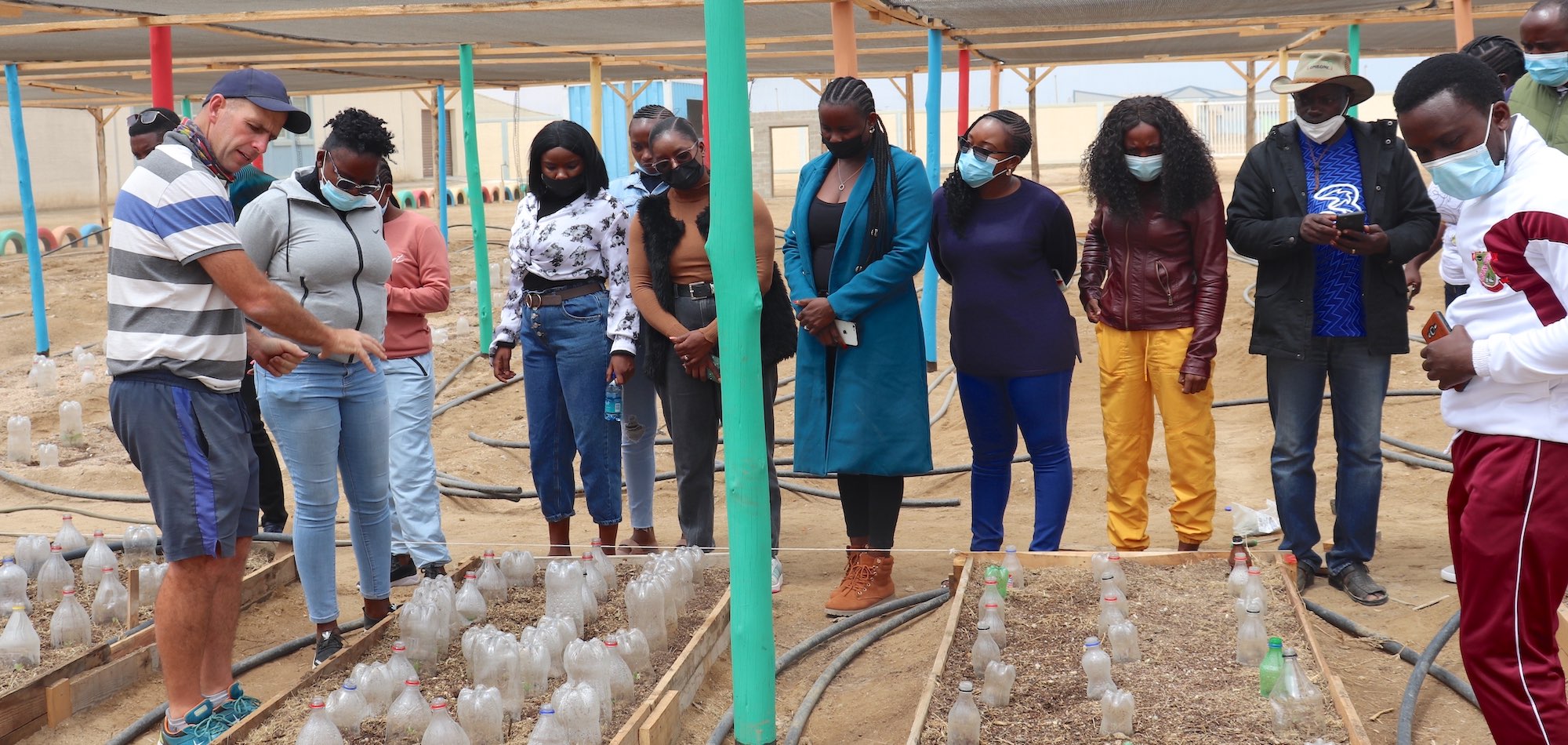 A guide points out how plants are protected under old plastic drinks bottles in a large planting scheme.