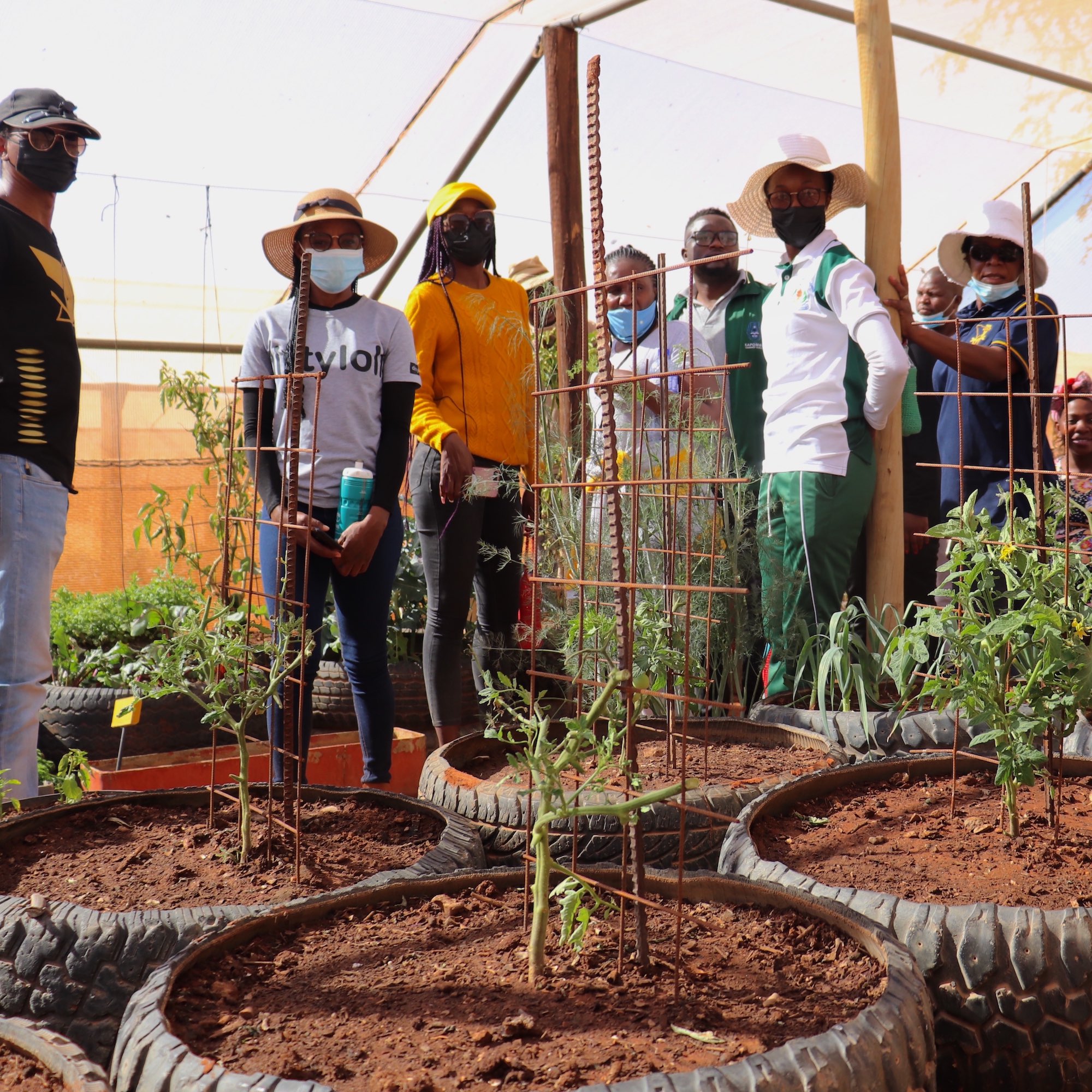 A group of people inspect plants growing within planters made from old tyres.