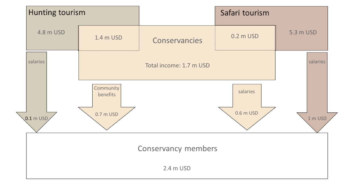 A flow chart showing how money from hutning and safari tourism flows into the community.