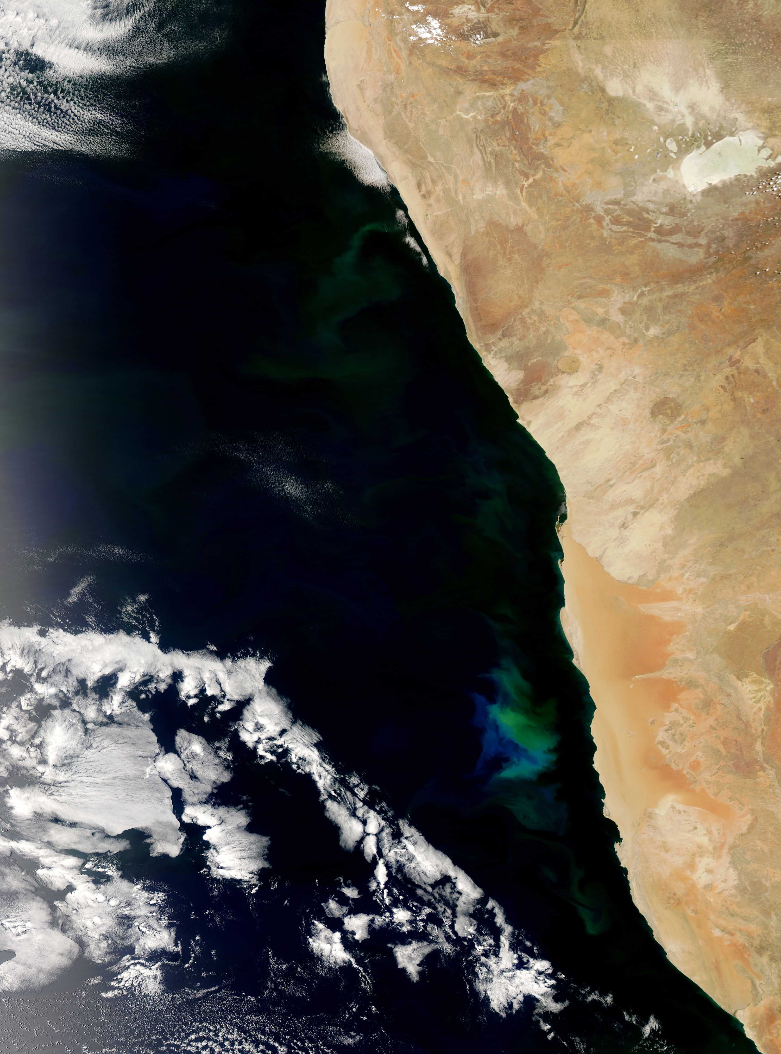 A satellite image of the ocean off the Namibian coast.