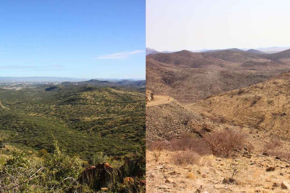 Wet pans dot the landscape as far as the eye can see.
