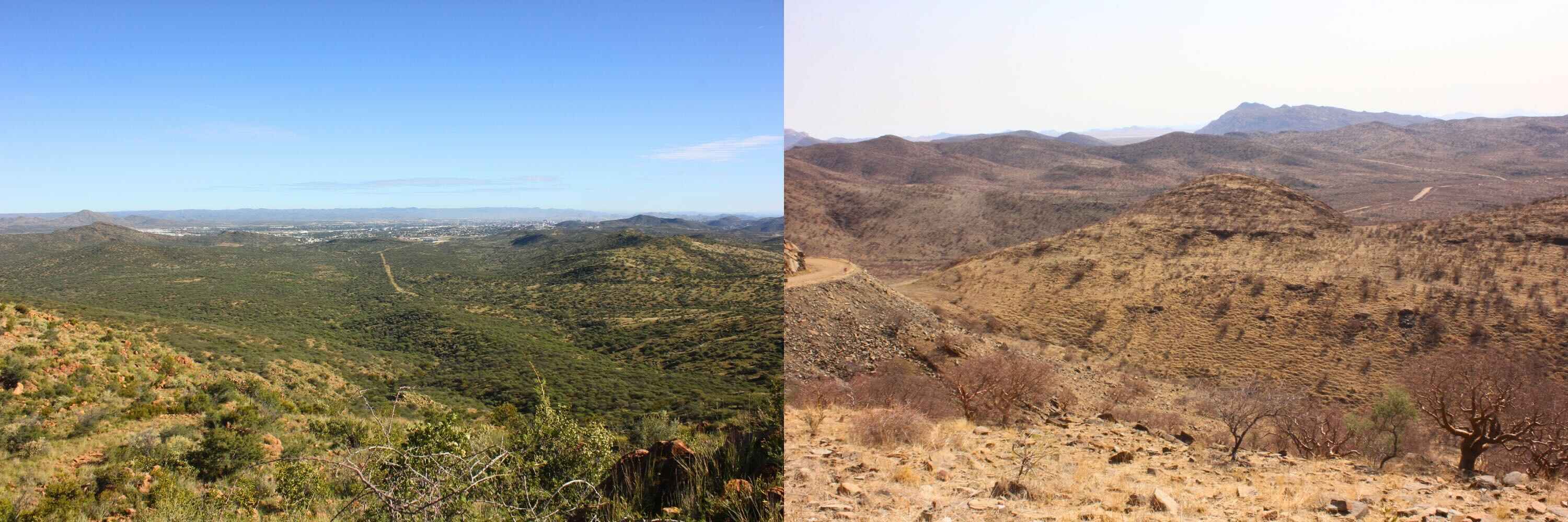 Two images of the same region showing different seasons.
