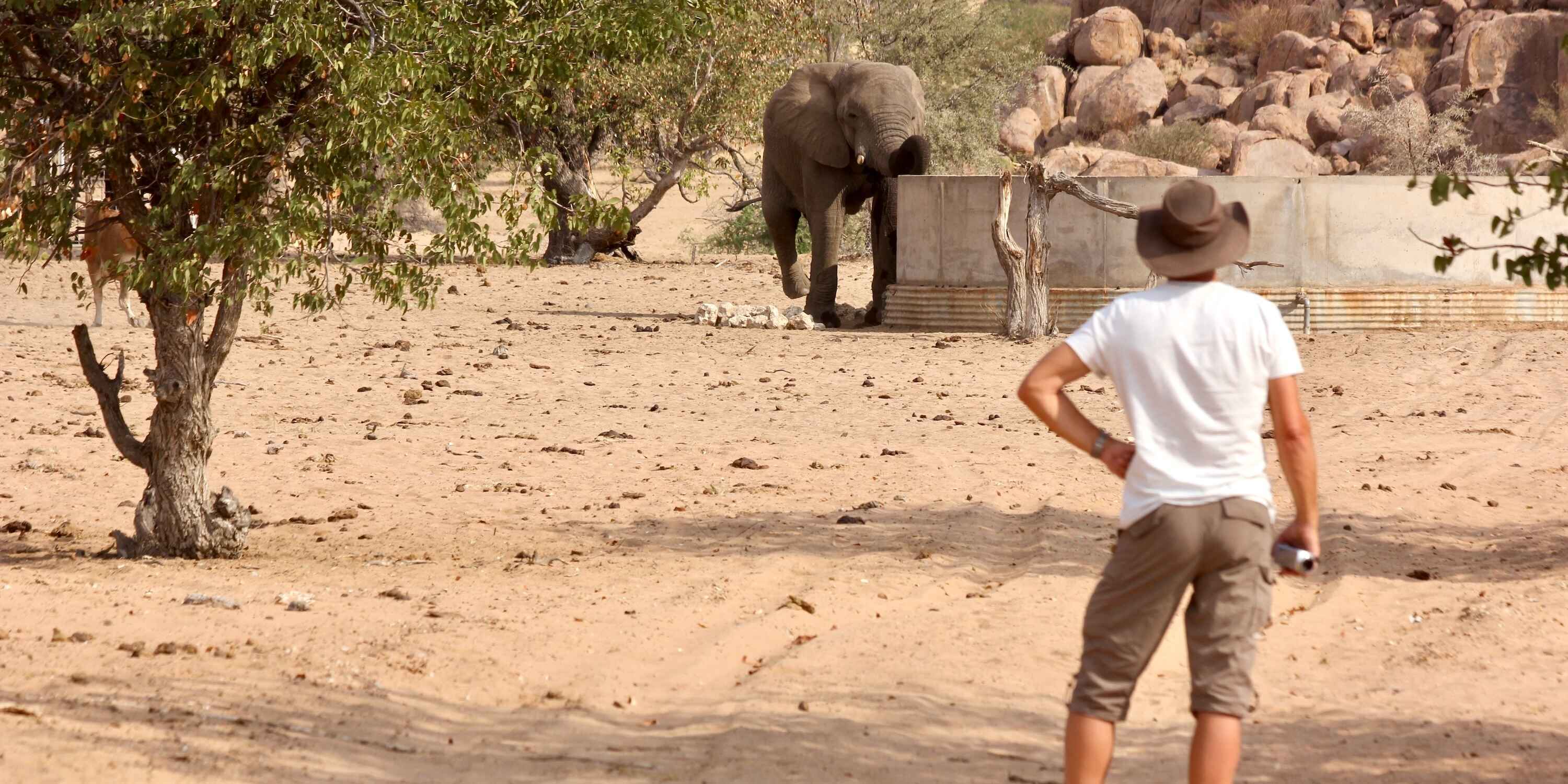 A man watches an elephant drinking from a water reservoir.