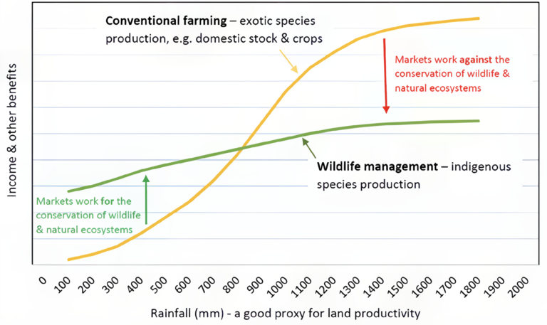 Embracing the Wild: Namibian Farmers' Shift Towards Wildlife Ranching