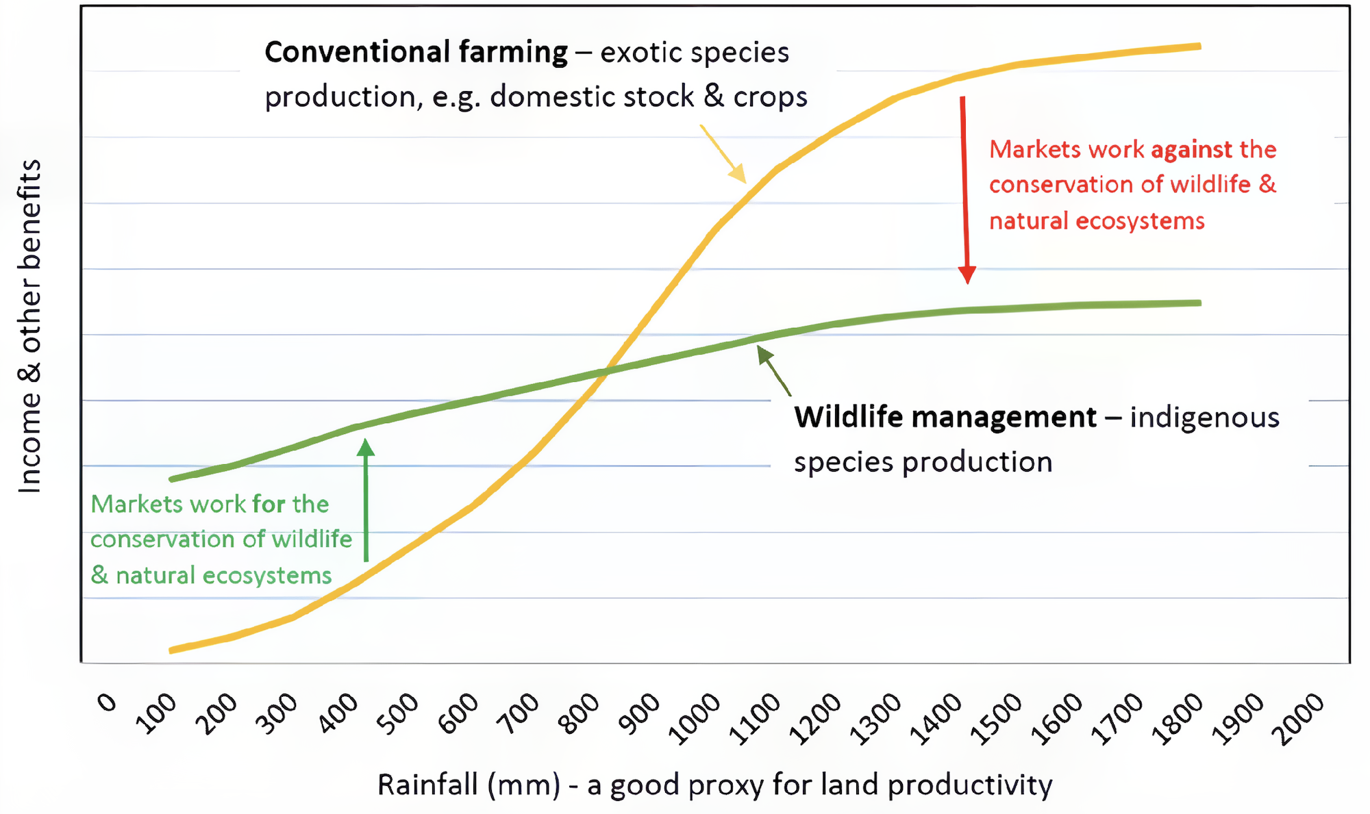A chart showing how rainfall affects the amount of income to be gained from conventional and wildlife farming.