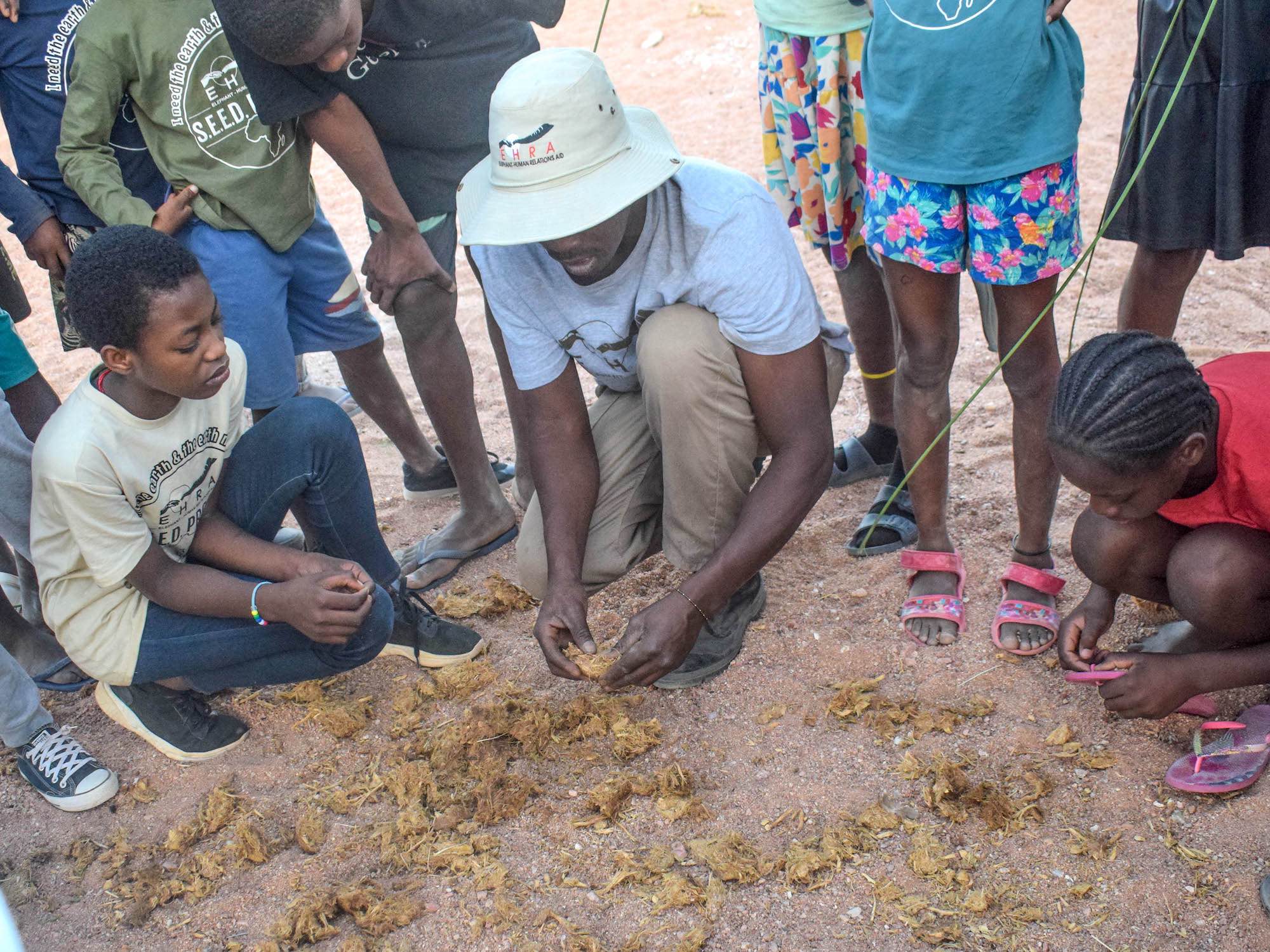An instructor showing a group of children the makeup of animal dung.