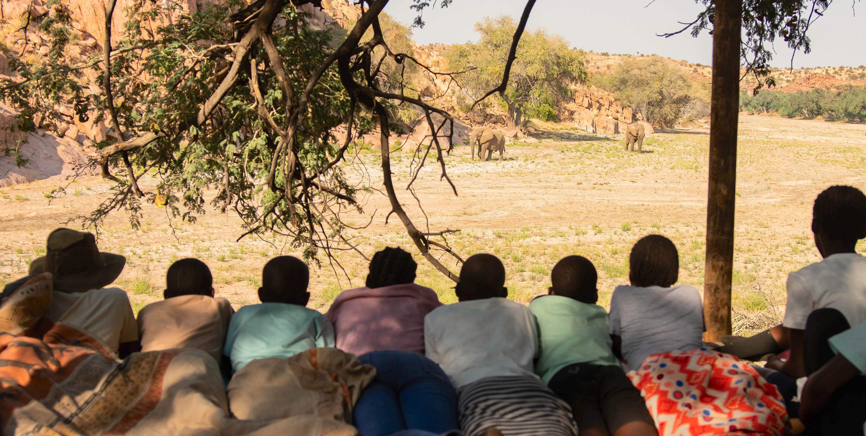 A line of children watch a pair of elephants.