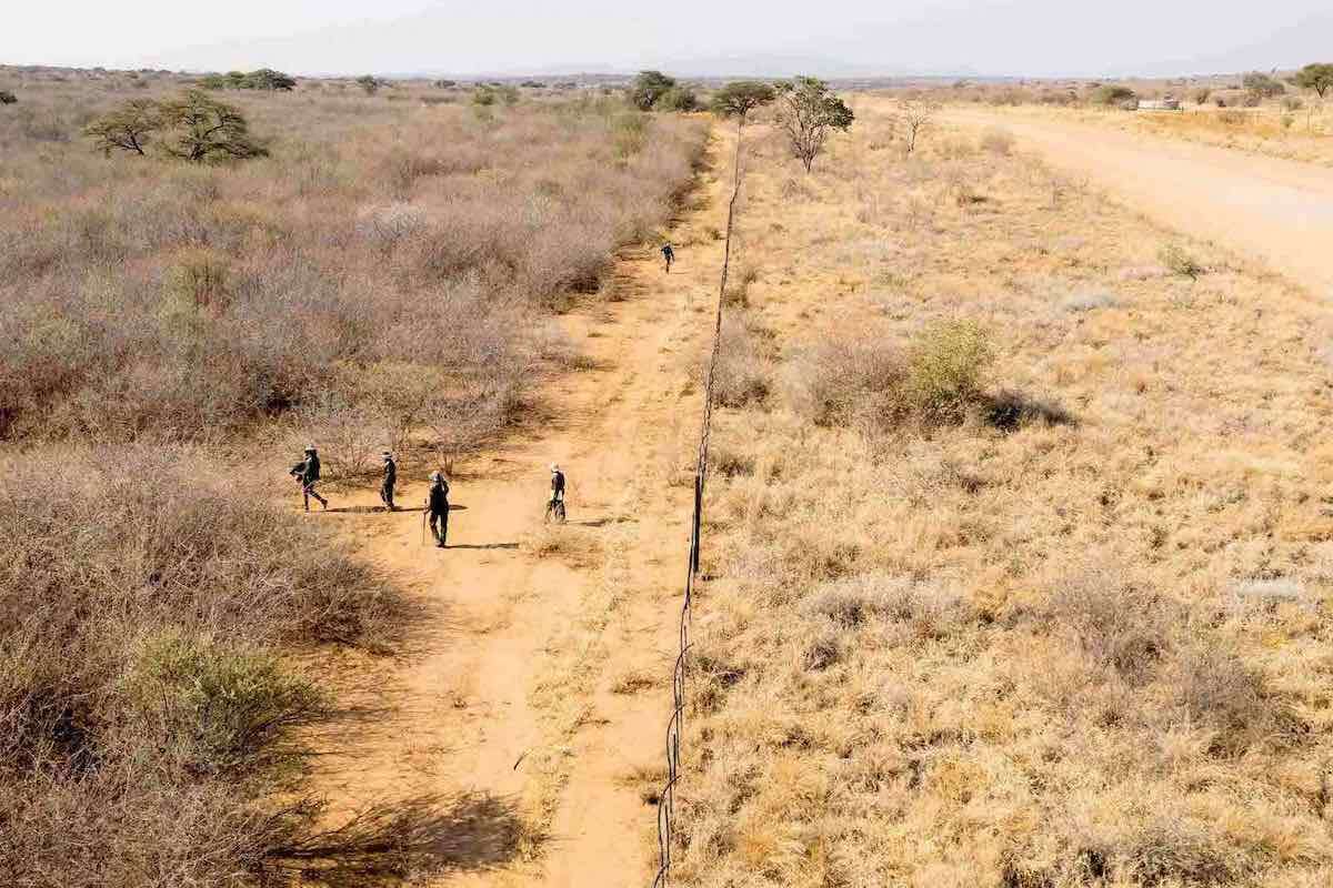 Drone footage showing the vast contrast between bush-encroached and non-encroached land.