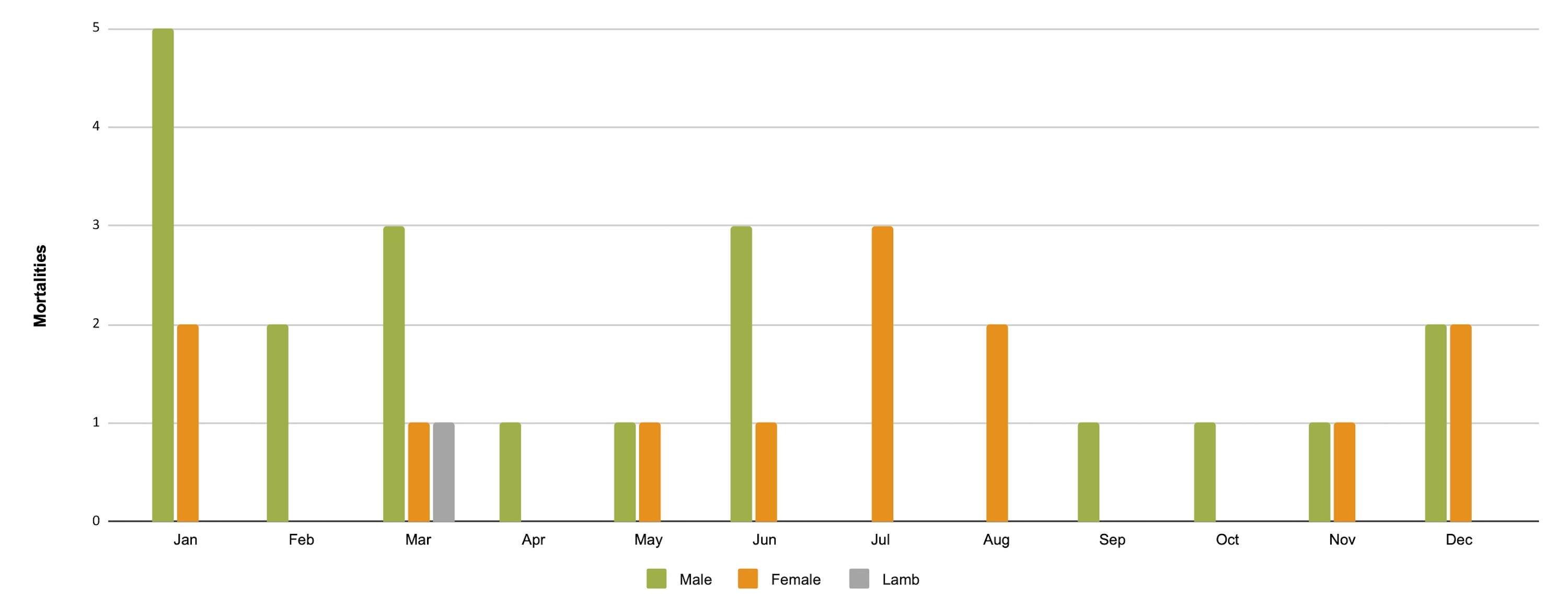 A bar chart.