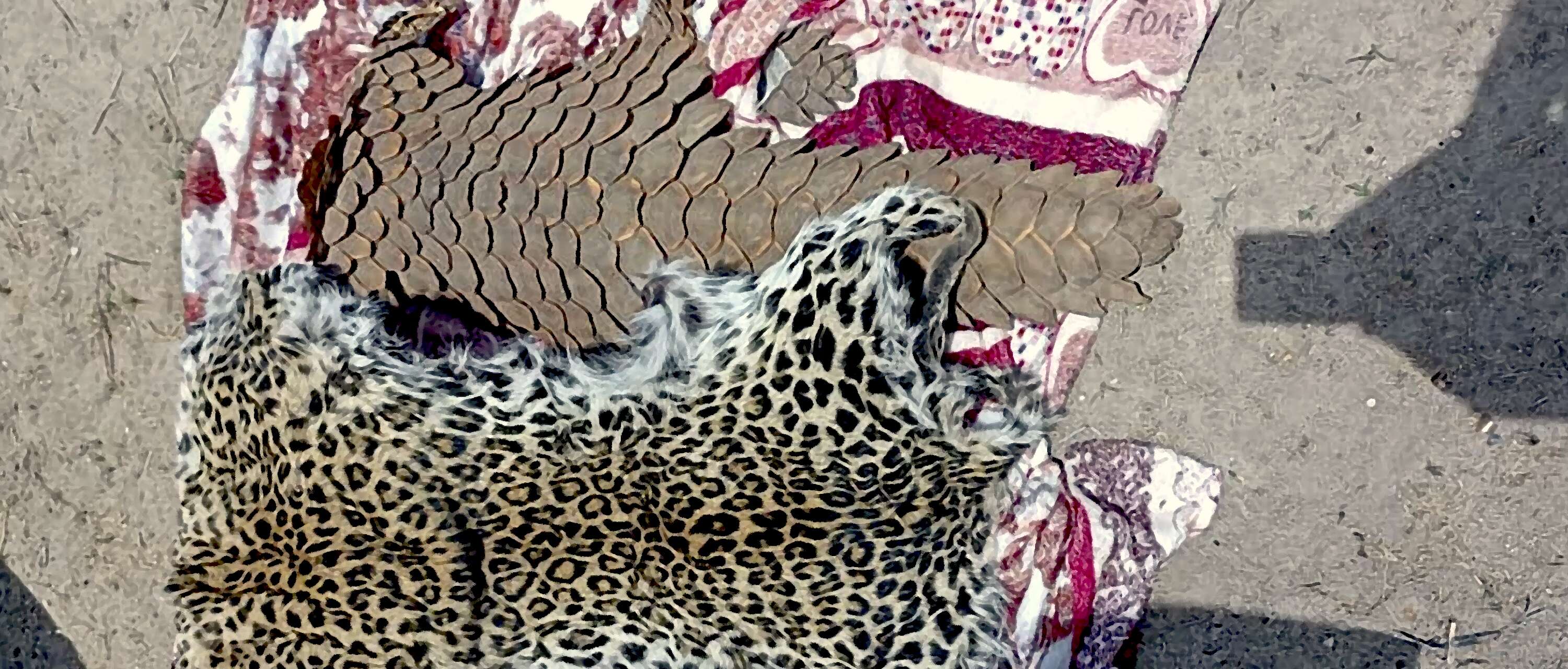 Leopard and pangolin hides.