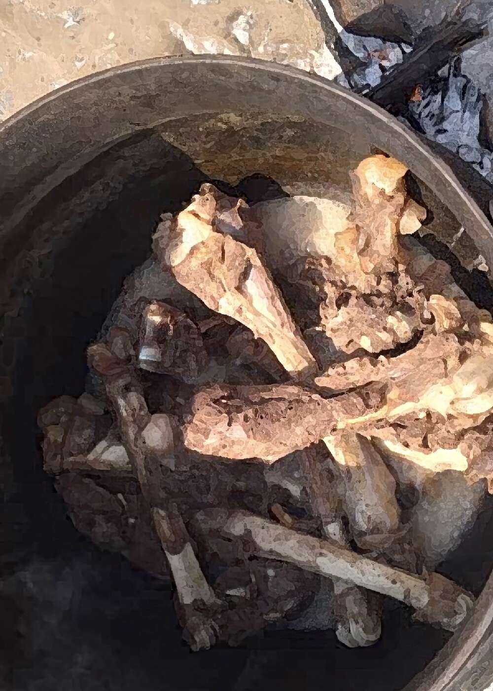 A cast iron pot containing meat and bones.