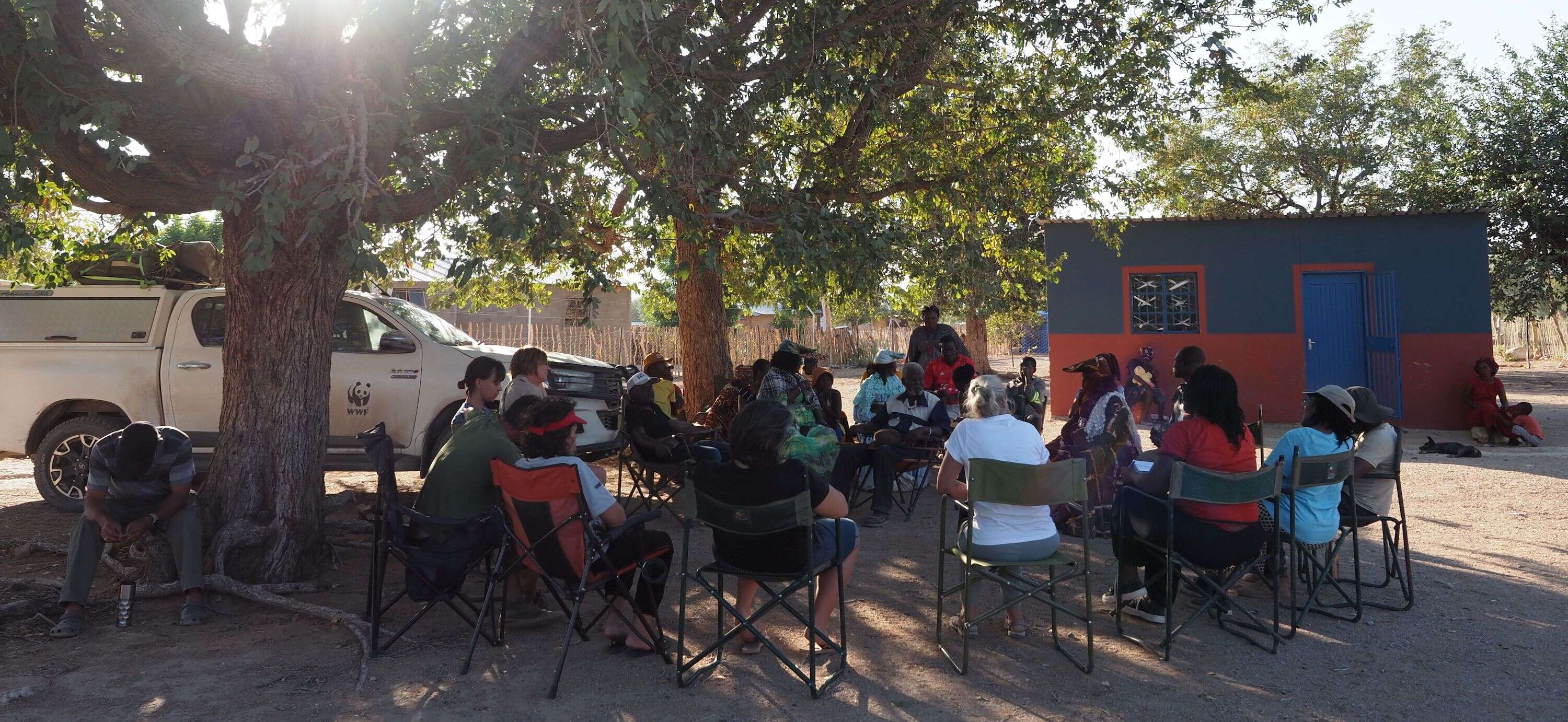 A group of people meeting in a circle in the shade of two trees.