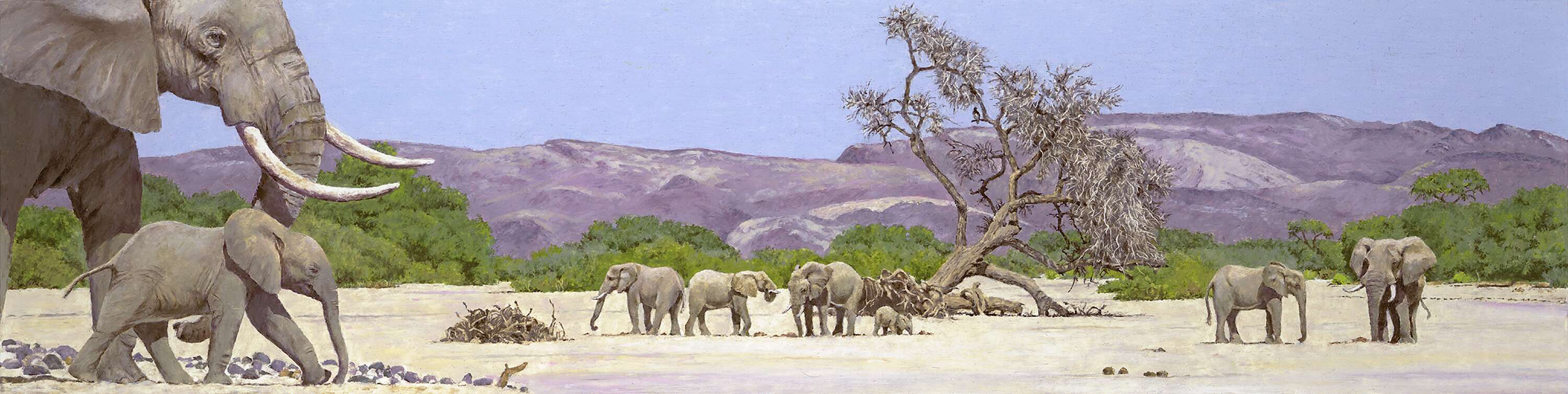 Elephants at a waterhole, and an eagle in the background.